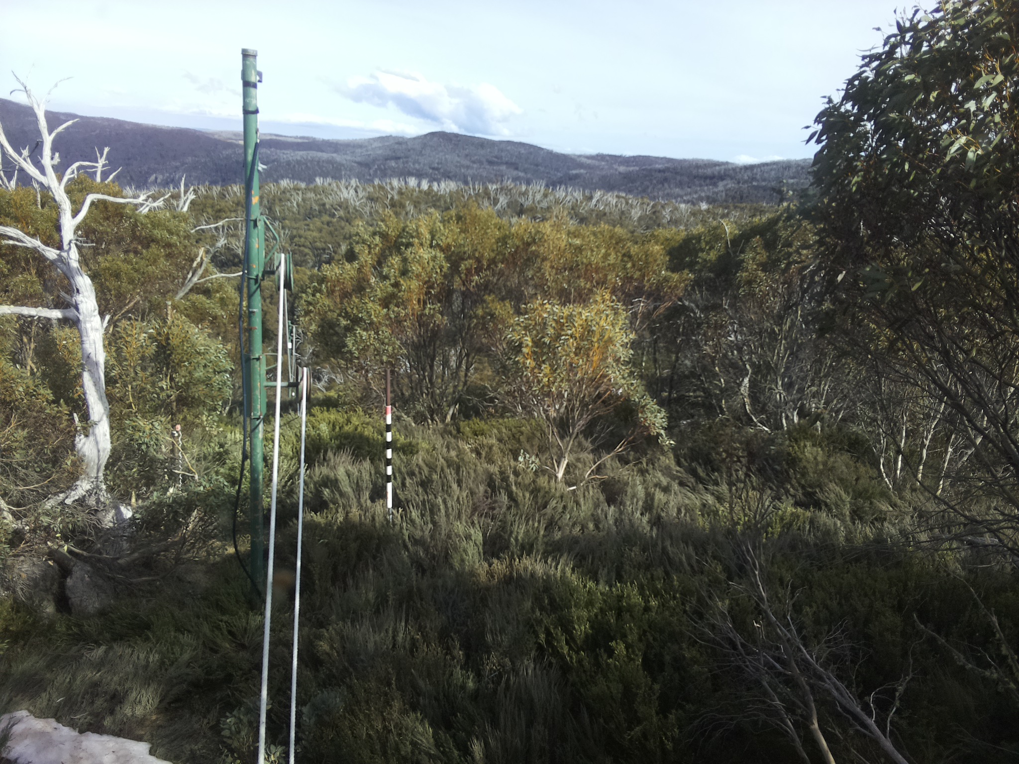 Bogong Web Cam 4:30pm Friday 17th of October 2025