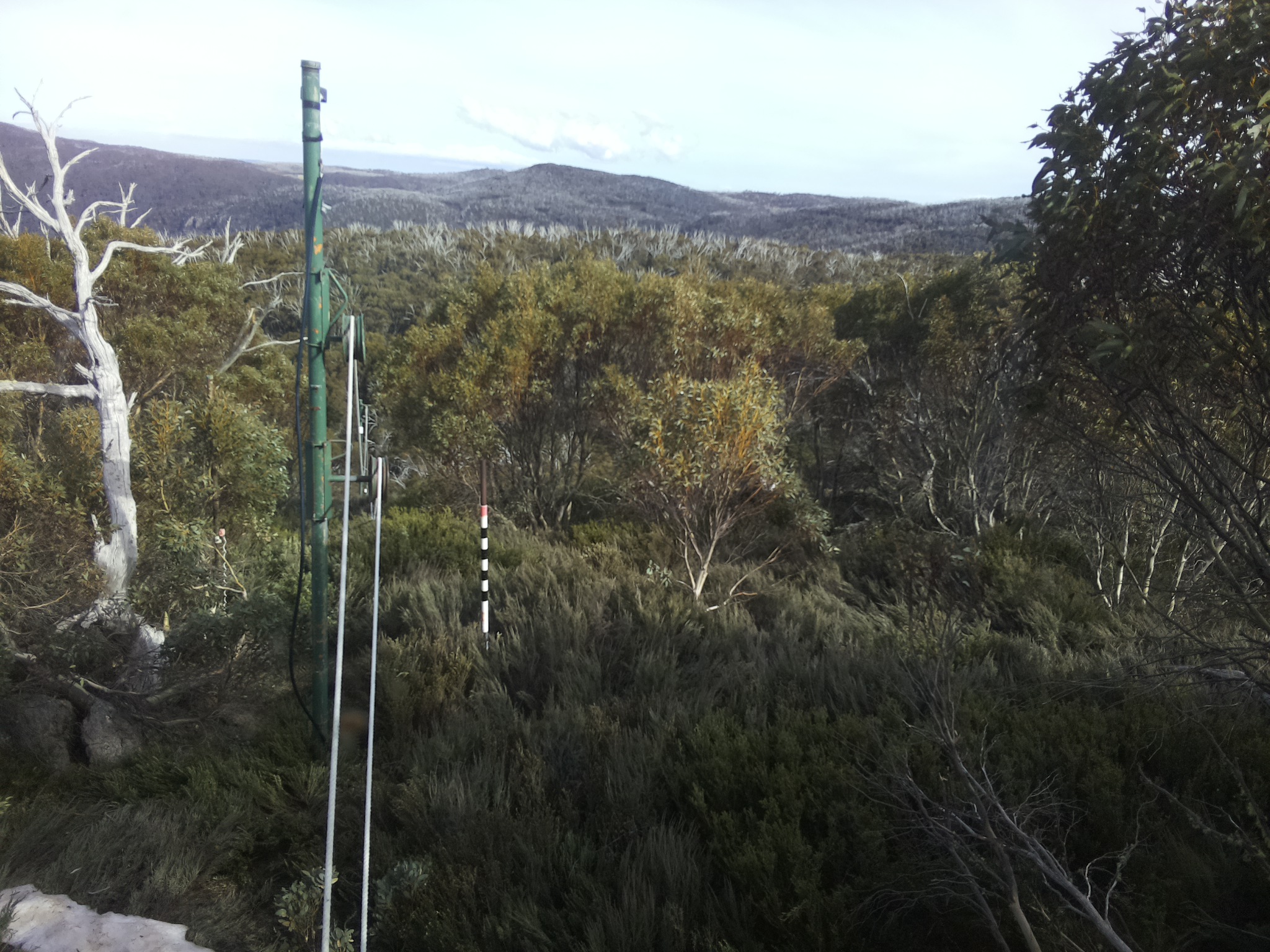 Bogong Web Cam 4:50pm Friday 17th of October 2025