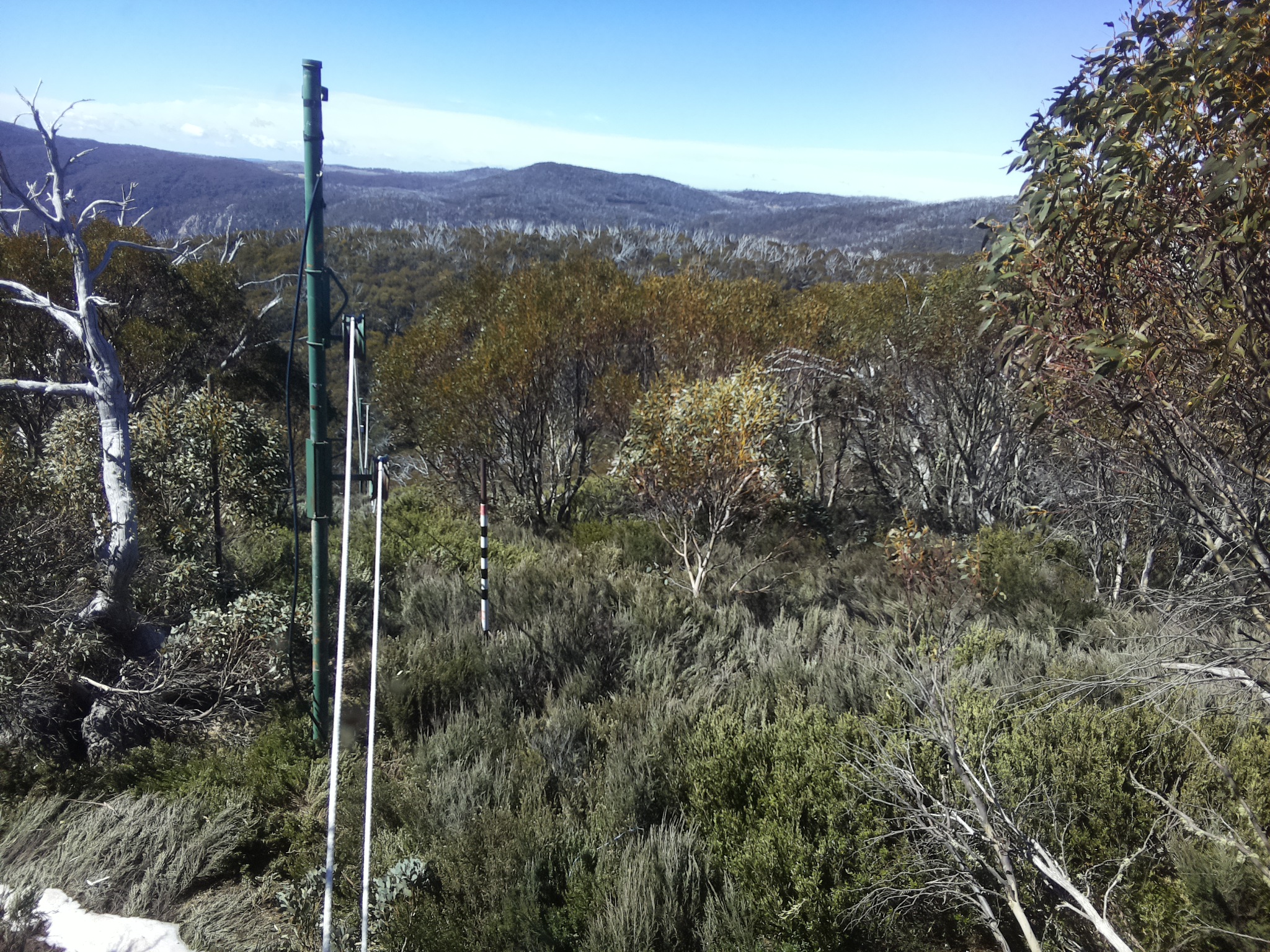 Bogong Web Cam 10:50am Saturday 18th of October 2025