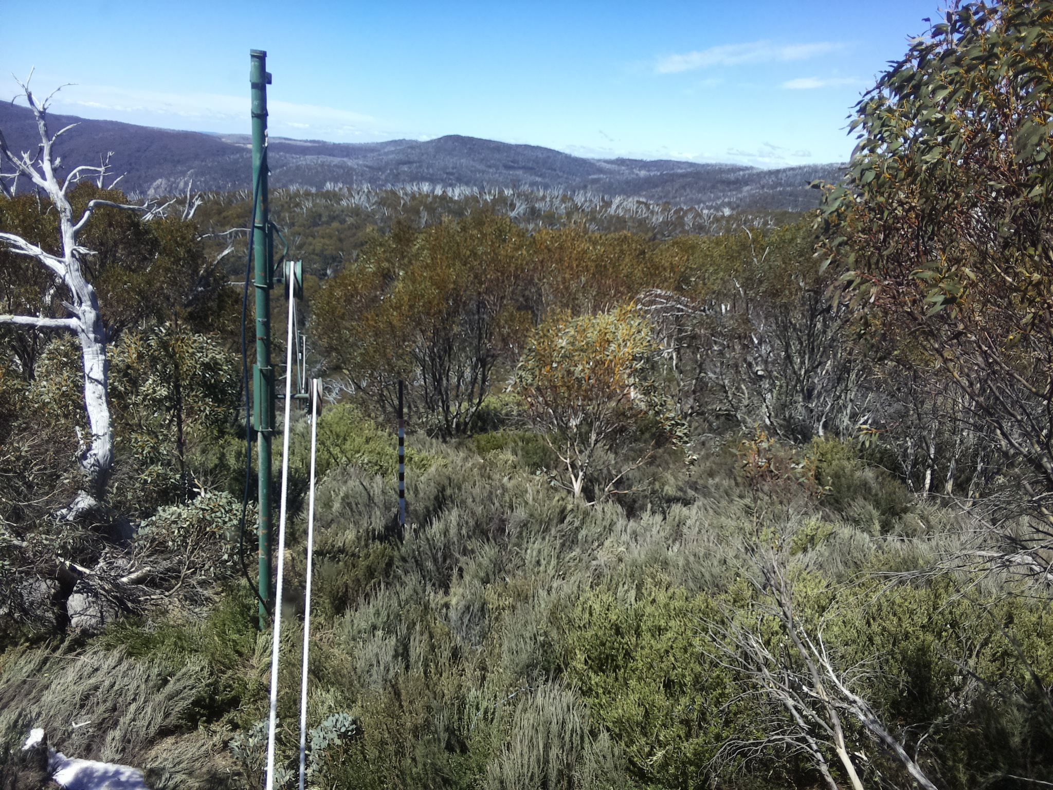 Bogong Web Cam 12:10pm Saturday 18th of October 2025