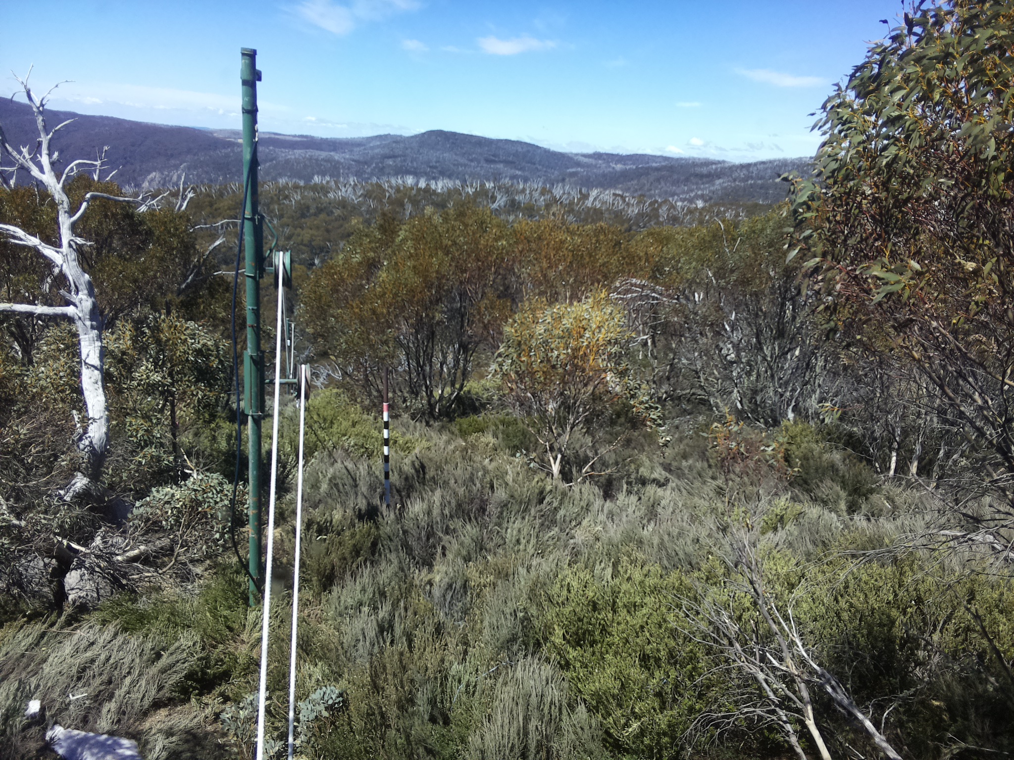 Bogong Web Cam 12:20pm Saturday 18th of October 2025