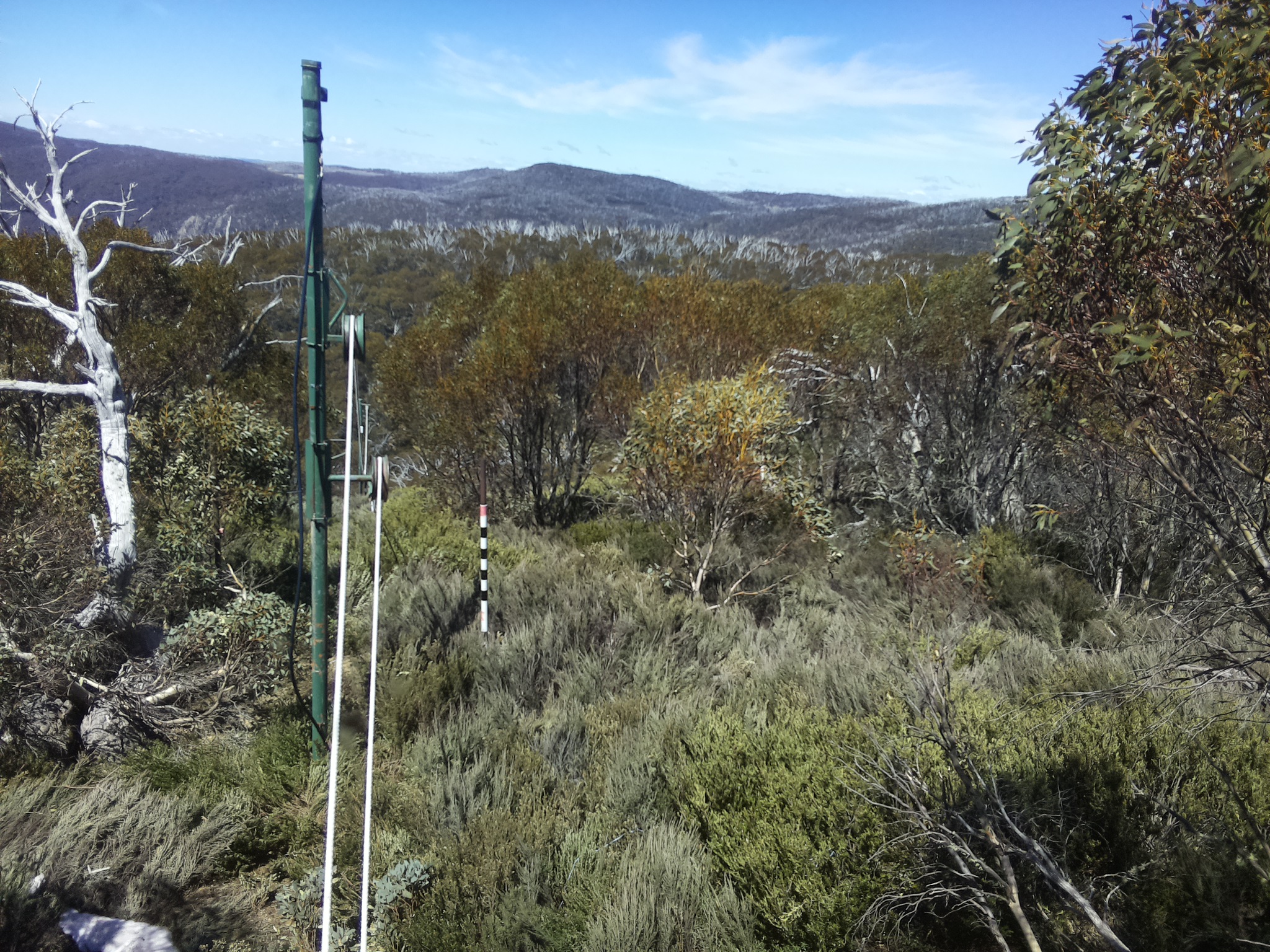 Bogong Web Cam 12:50pm Saturday 18th of October 2025