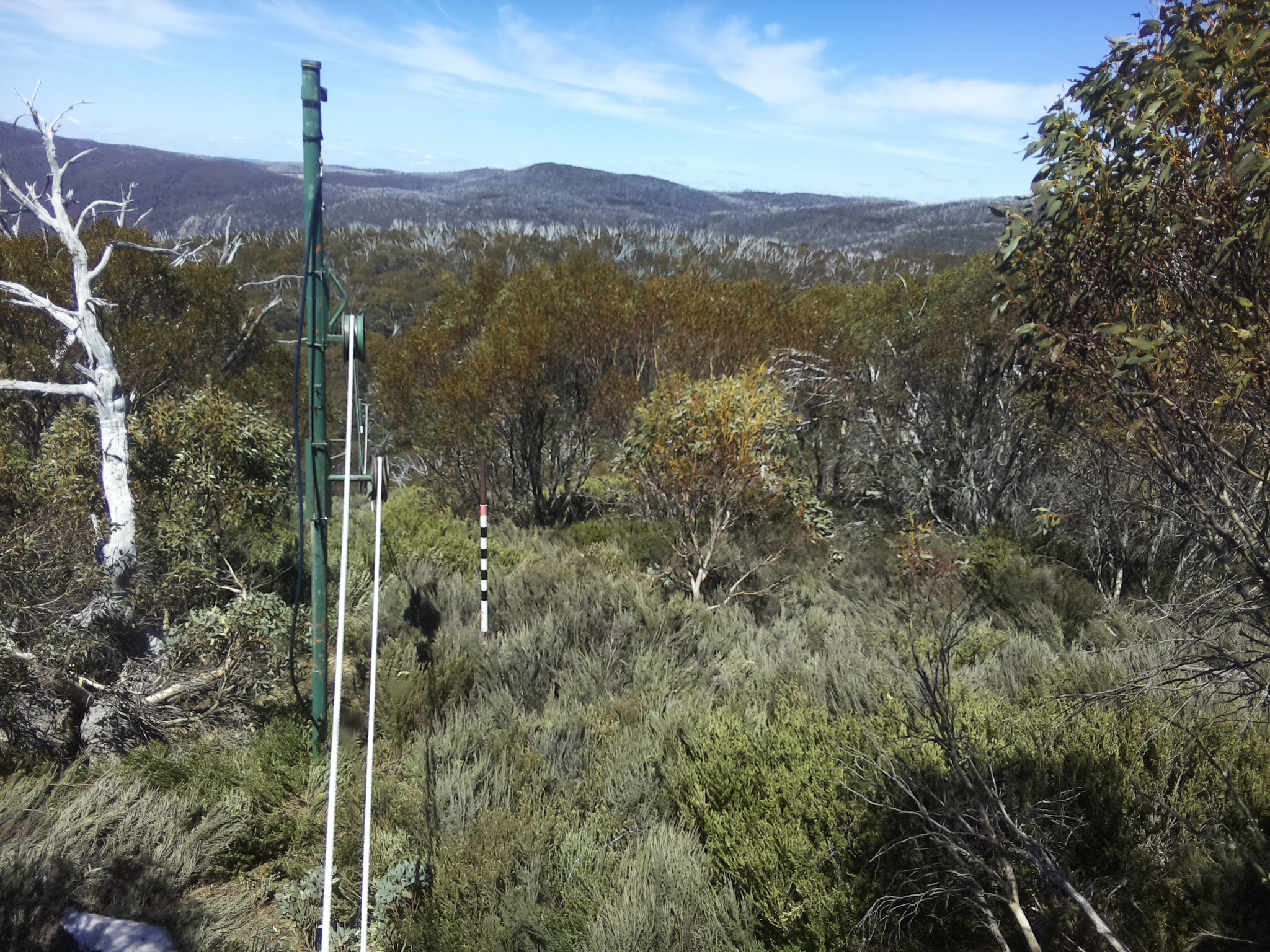 Bogong Web Cam 1:10pm Saturday 18th of October 2025