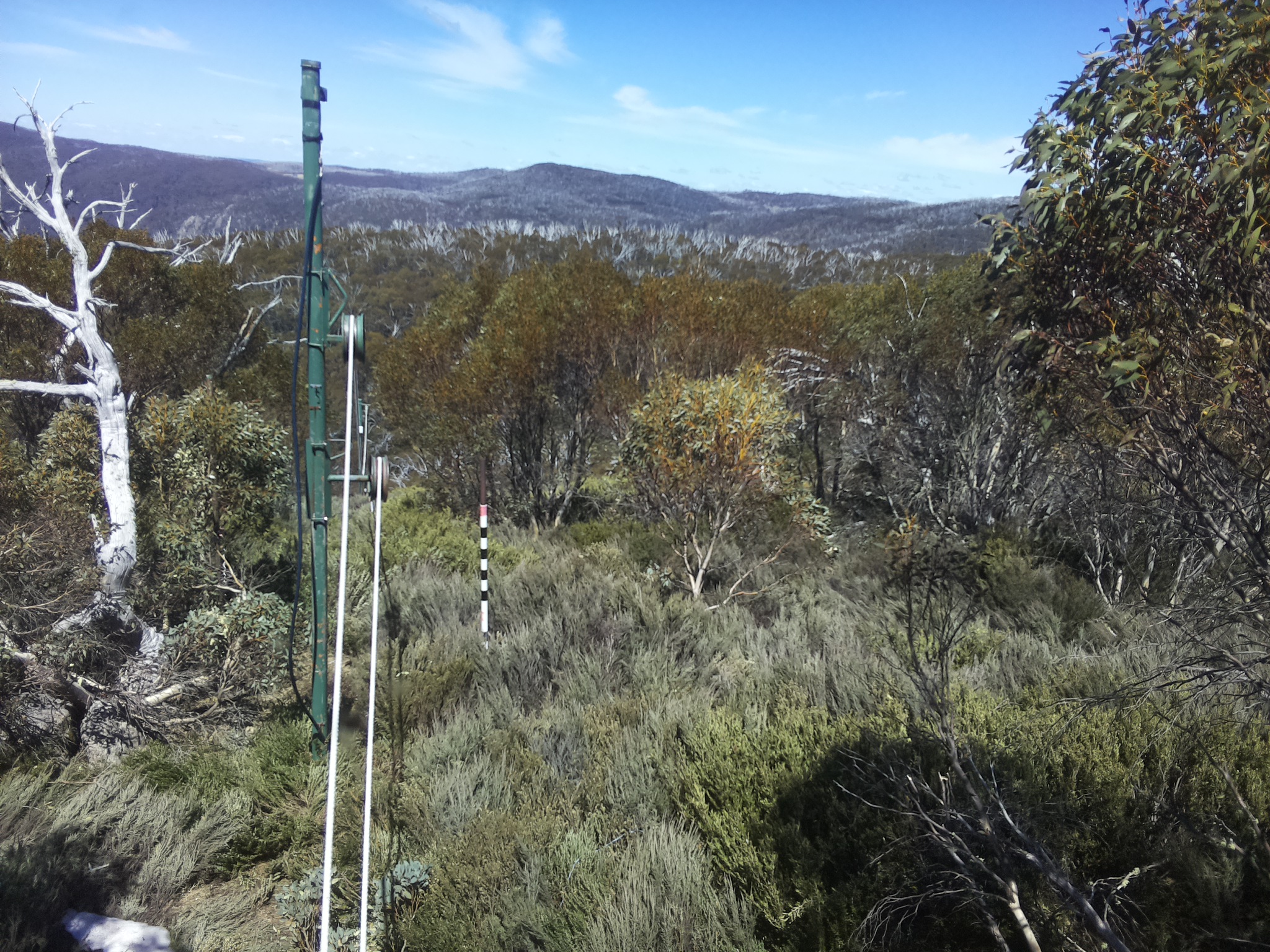 Bogong Web Cam 1:40pm Saturday 18th of October 2025