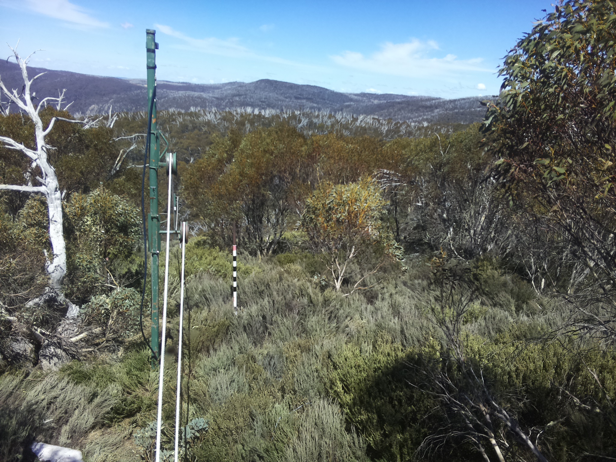 Bogong Web Cam 1:50pm Saturday 18th of October 2025