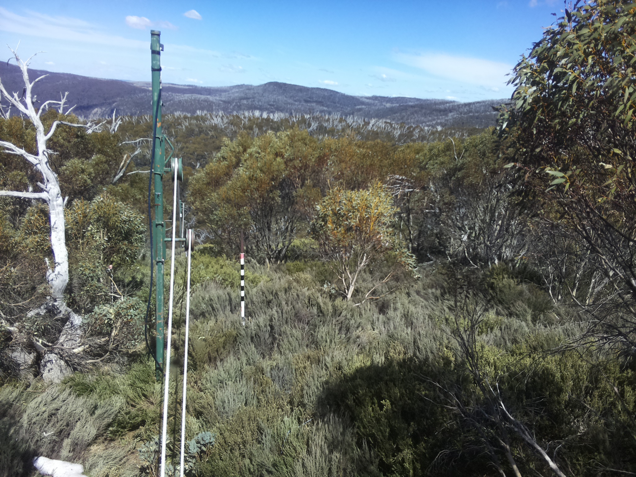 Bogong Web Cam 2:20pm Saturday 18th of October 2025
