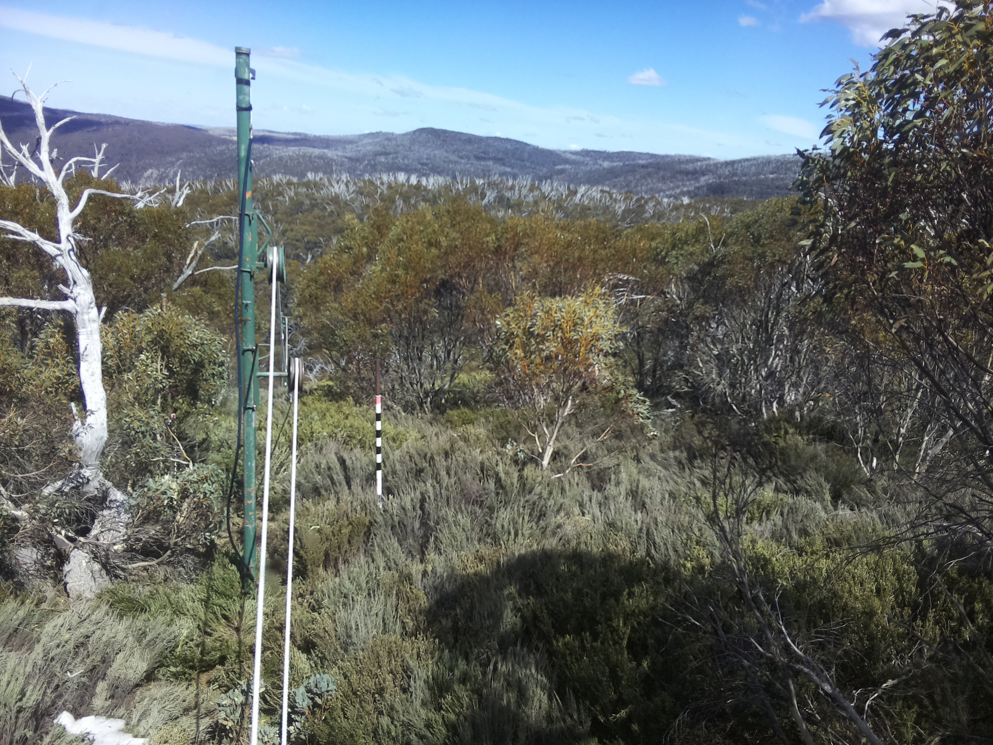 Bogong Web Cam 2:50pm Saturday 18th of October 2025