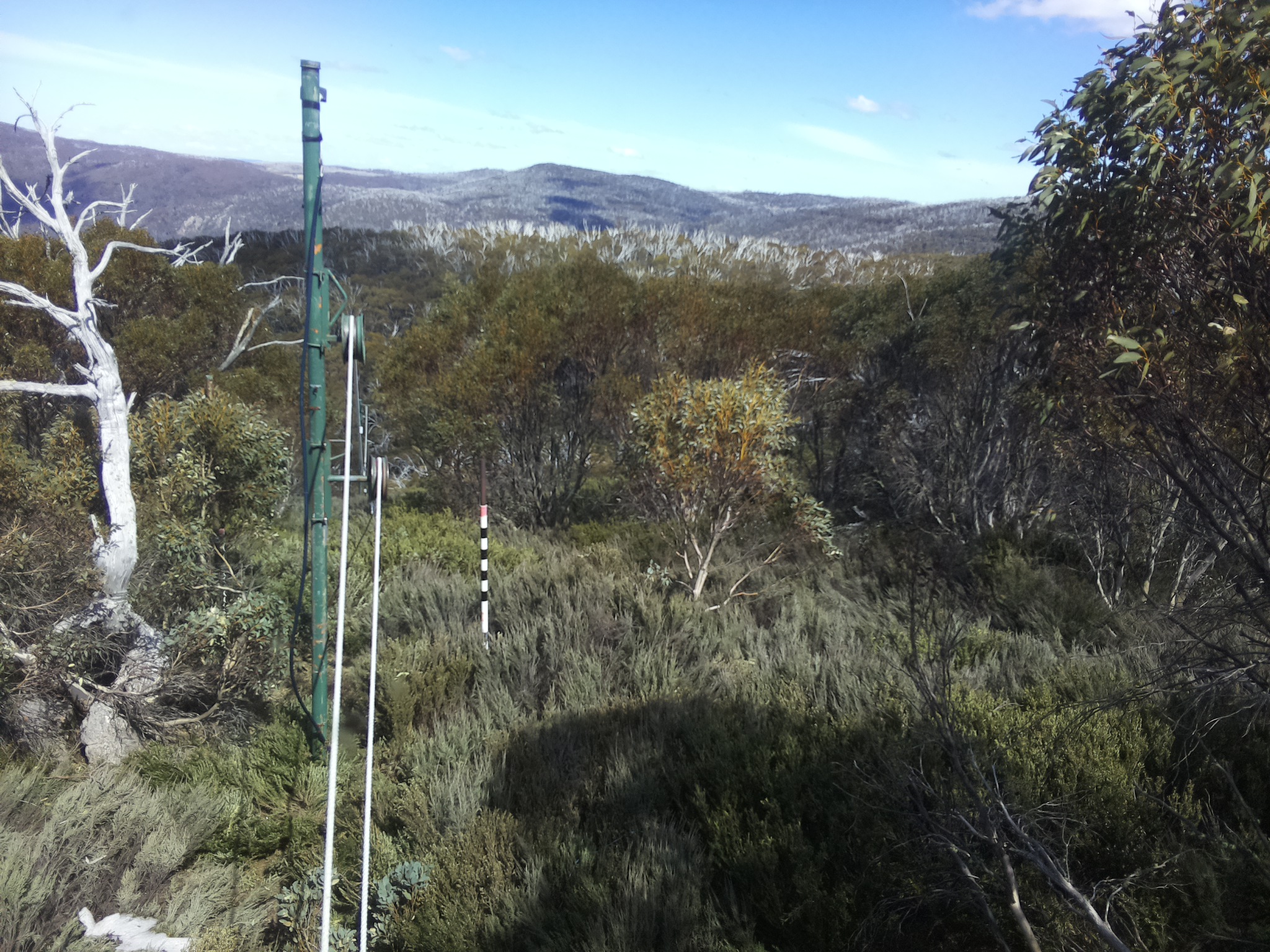 Bogong Web Cam 3:00pm Saturday 18th of October 2025