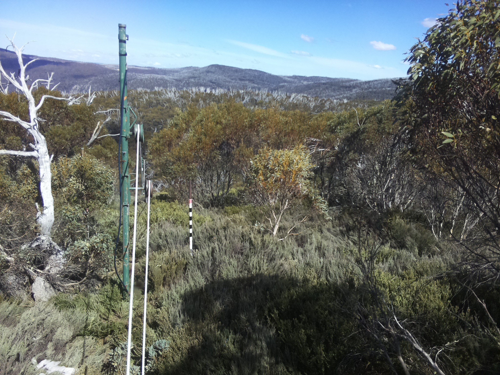 Bogong Web Cam 3:10pm Saturday 18th of October 2025