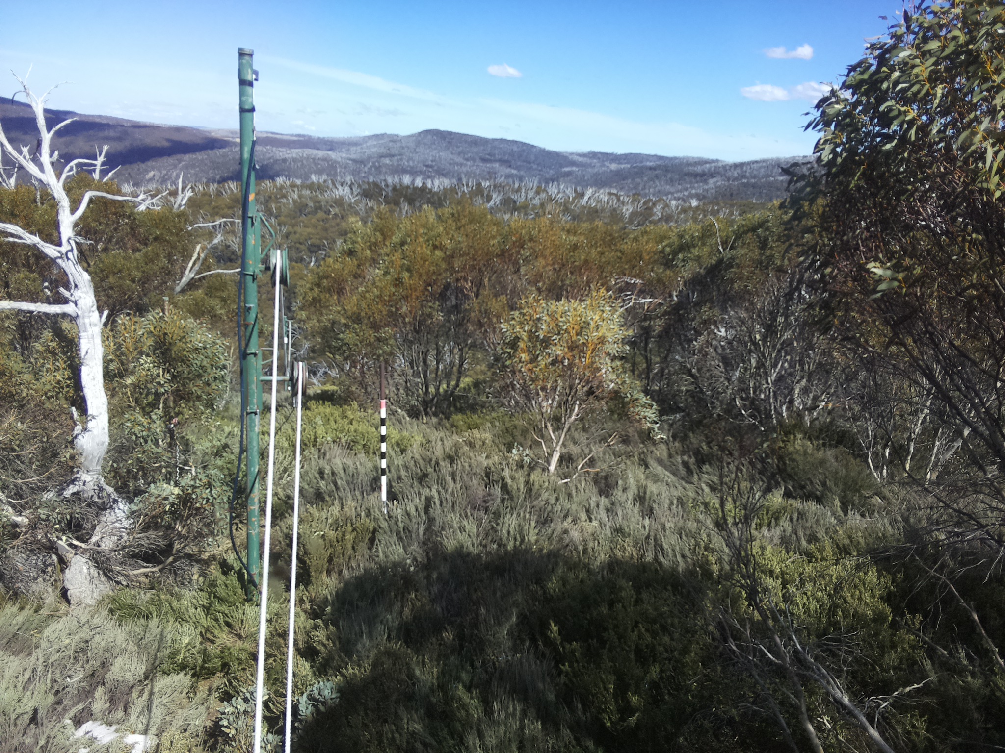 Bogong Web Cam 3:20pm Saturday 18th of October 2025