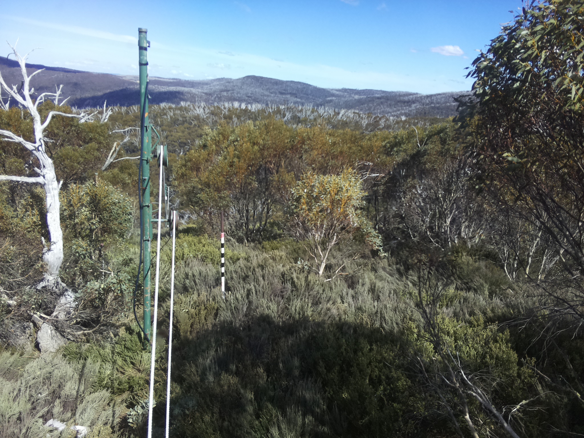 Bogong Web Cam 3:30pm Saturday 18th of October 2025