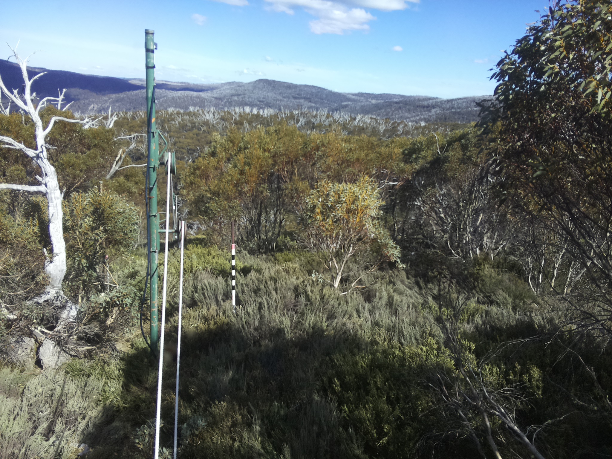 Bogong Web Cam 3:50pm Saturday 18th of October 2025