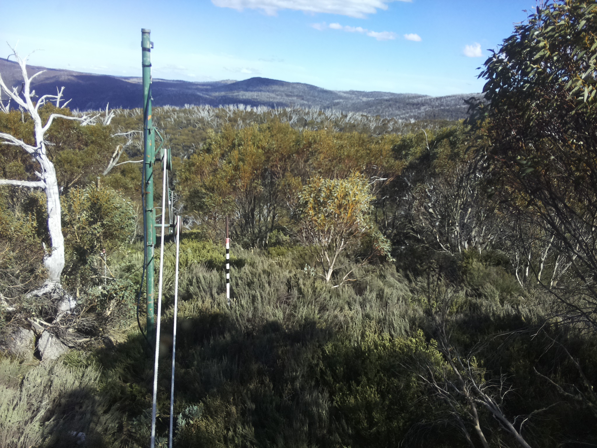 Bogong Web Cam 4:00pm Saturday 18th of October 2025