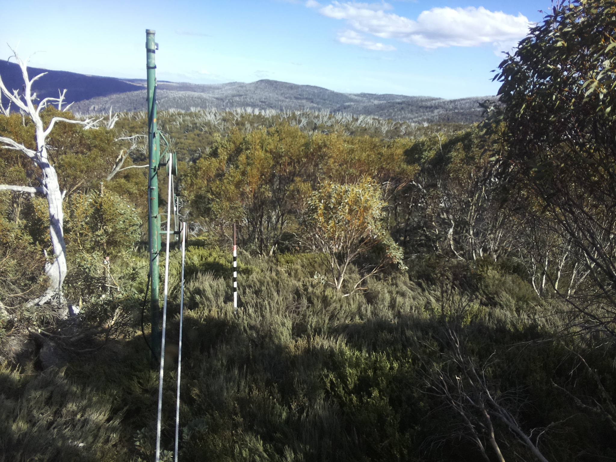 Bogong Web Cam 4:30pm Saturday 18th of October 2025