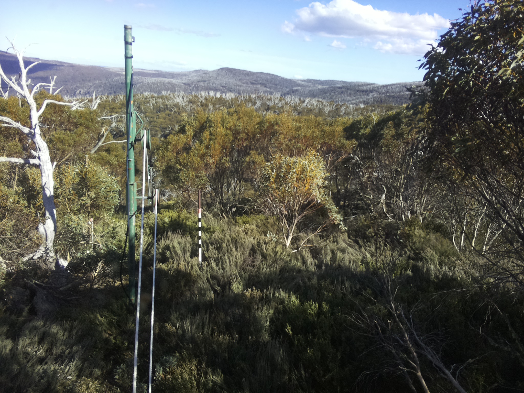 Bogong Web Cam 4:40pm Saturday 18th of October 2025