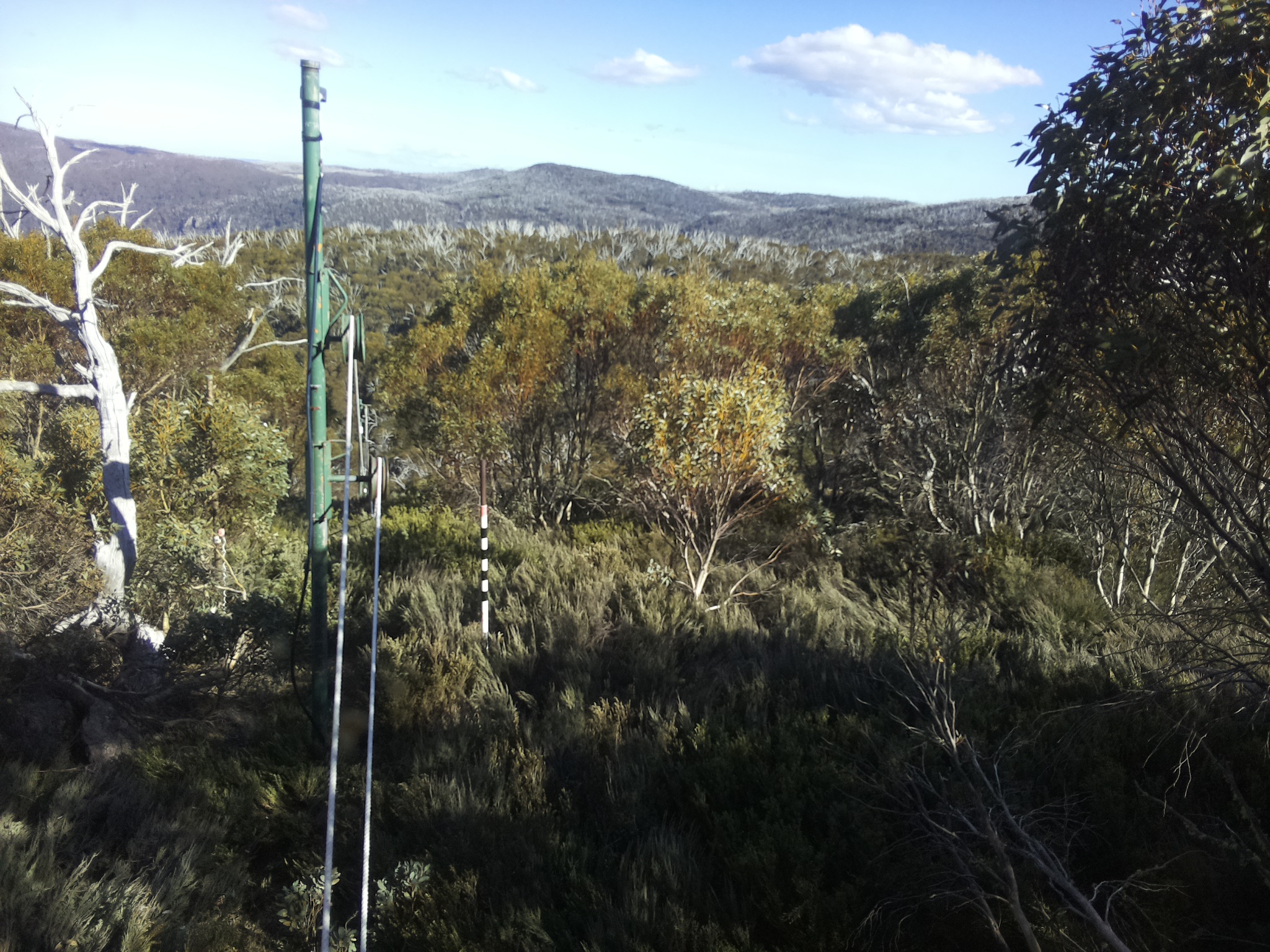 Bogong Web Cam 4:50pm Saturday 18th of October 2025