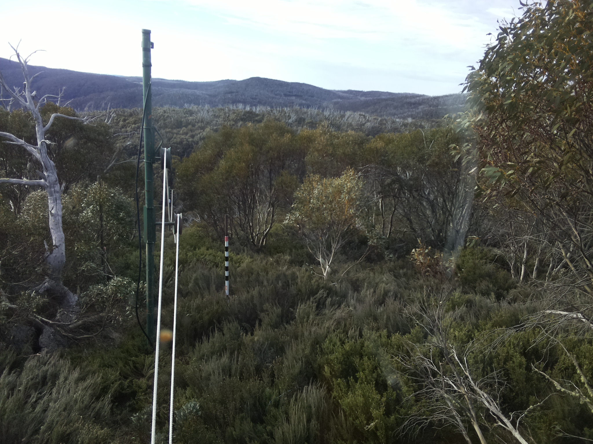Bogong Web Cam 8:30am Sunday 19th of October 2025