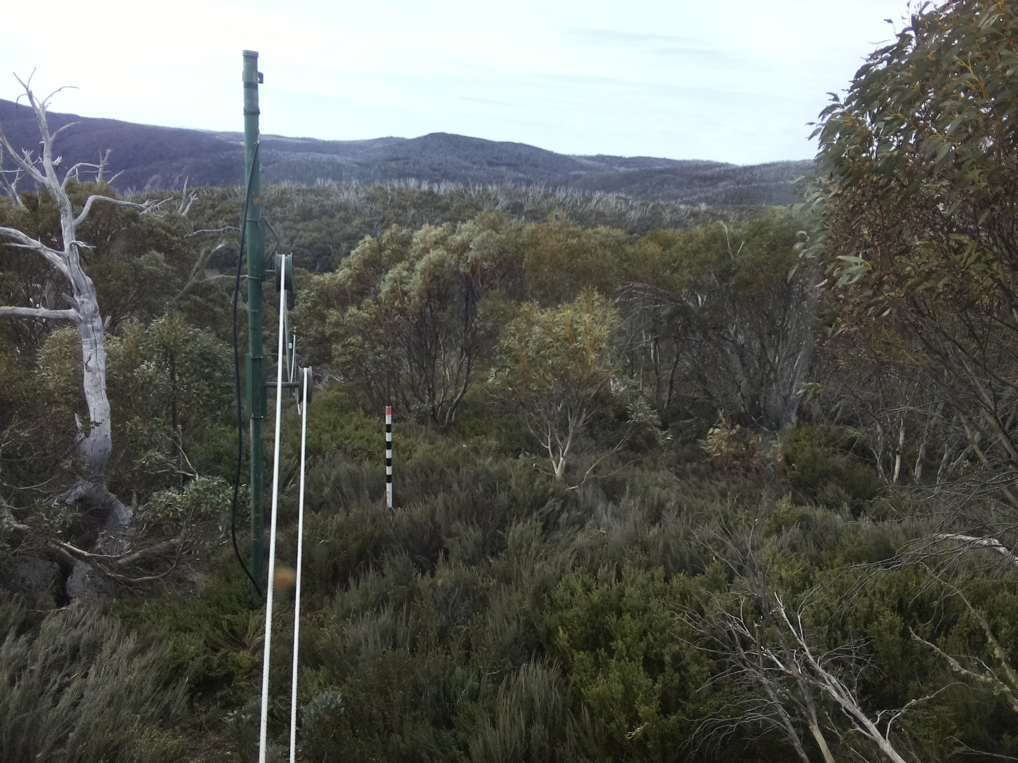 Bogong Web Cam 9:30am Sunday 19th of October 2025
