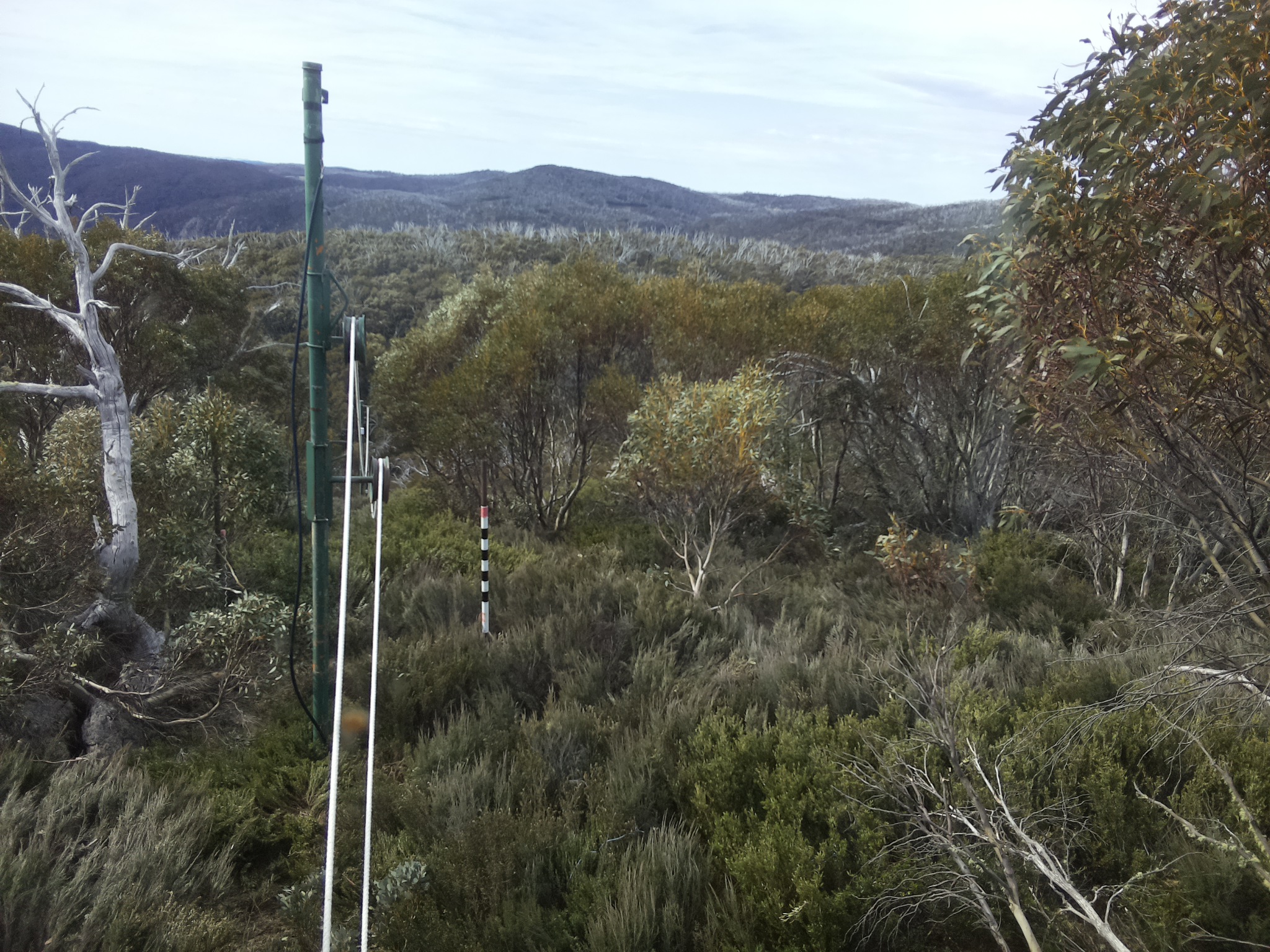 Bogong Web Cam 9:40am Sunday 19th of October 2025