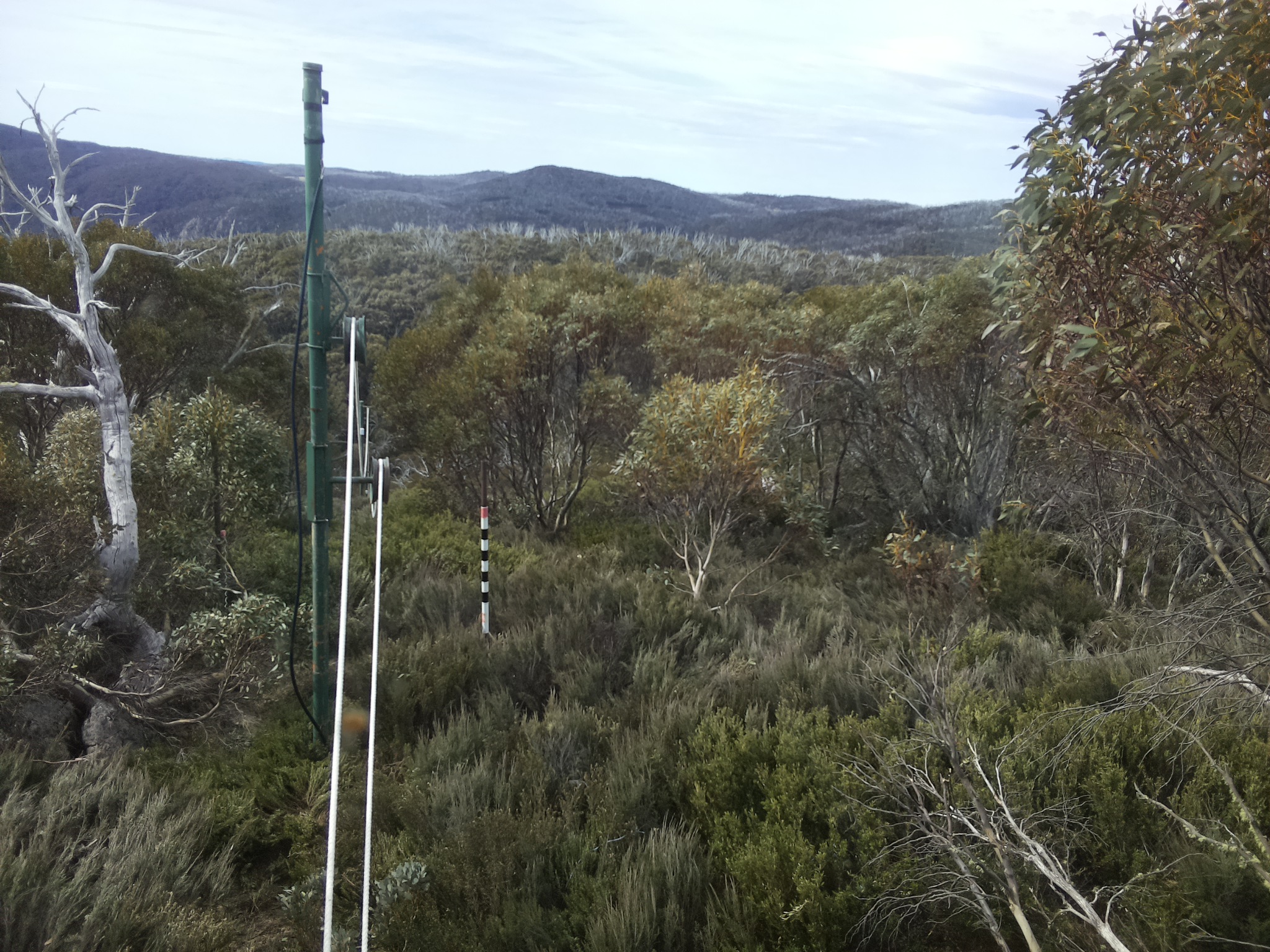 Bogong Web Cam 9:50am Sunday 19th of October 2025