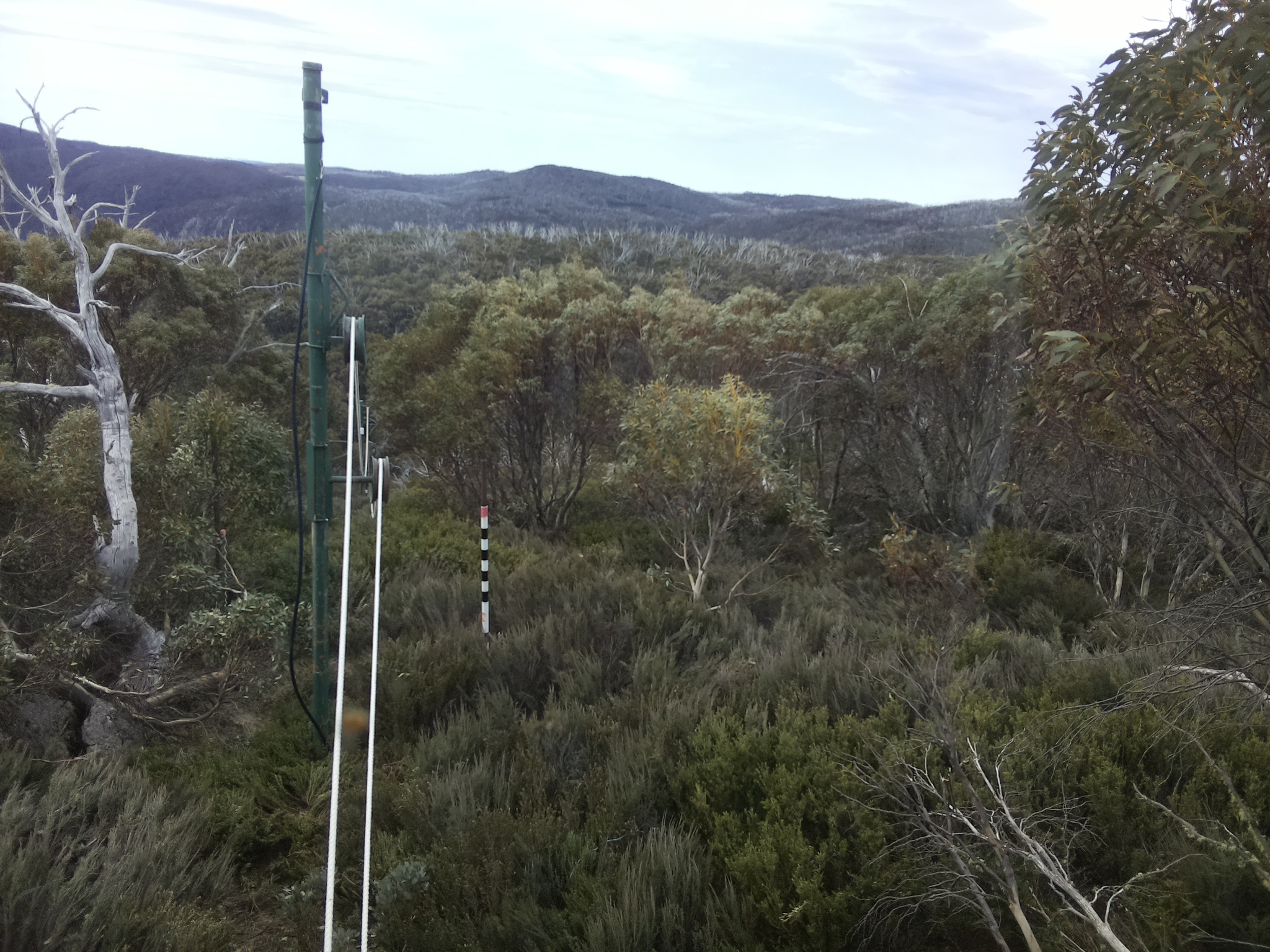 Bogong Web Cam 10:00am Sunday 19th of October 2025