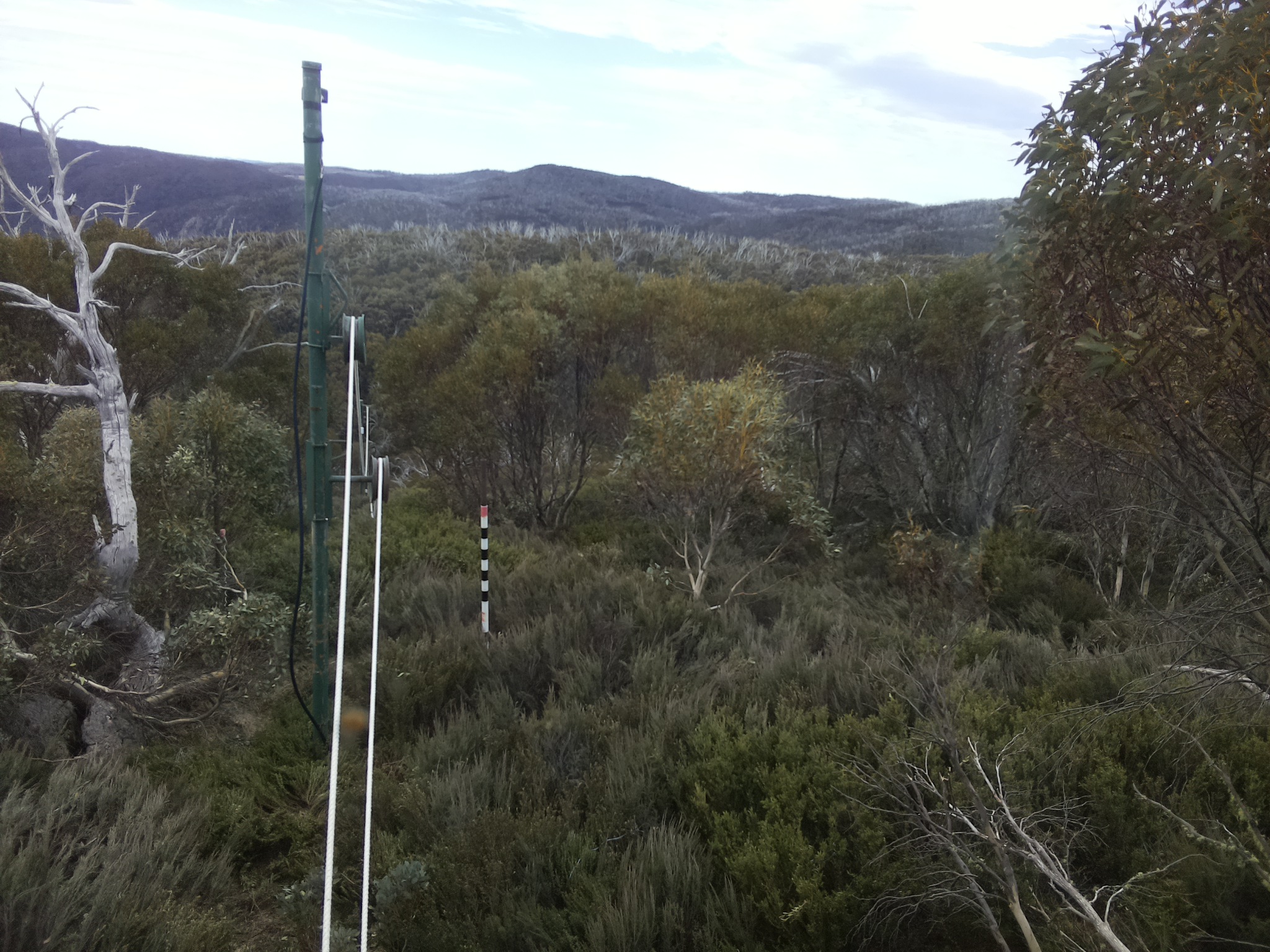 Bogong Web Cam 10:20am Sunday 19th of October 2025
