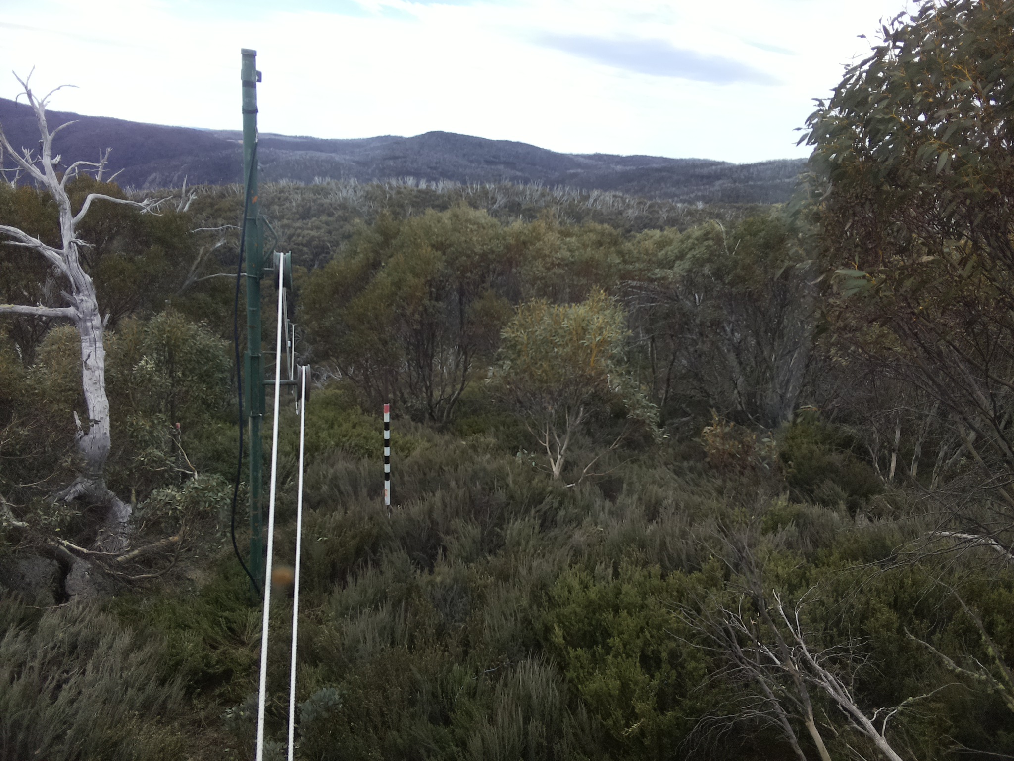 Bogong Web Cam 10:30am Sunday 19th of October 2025