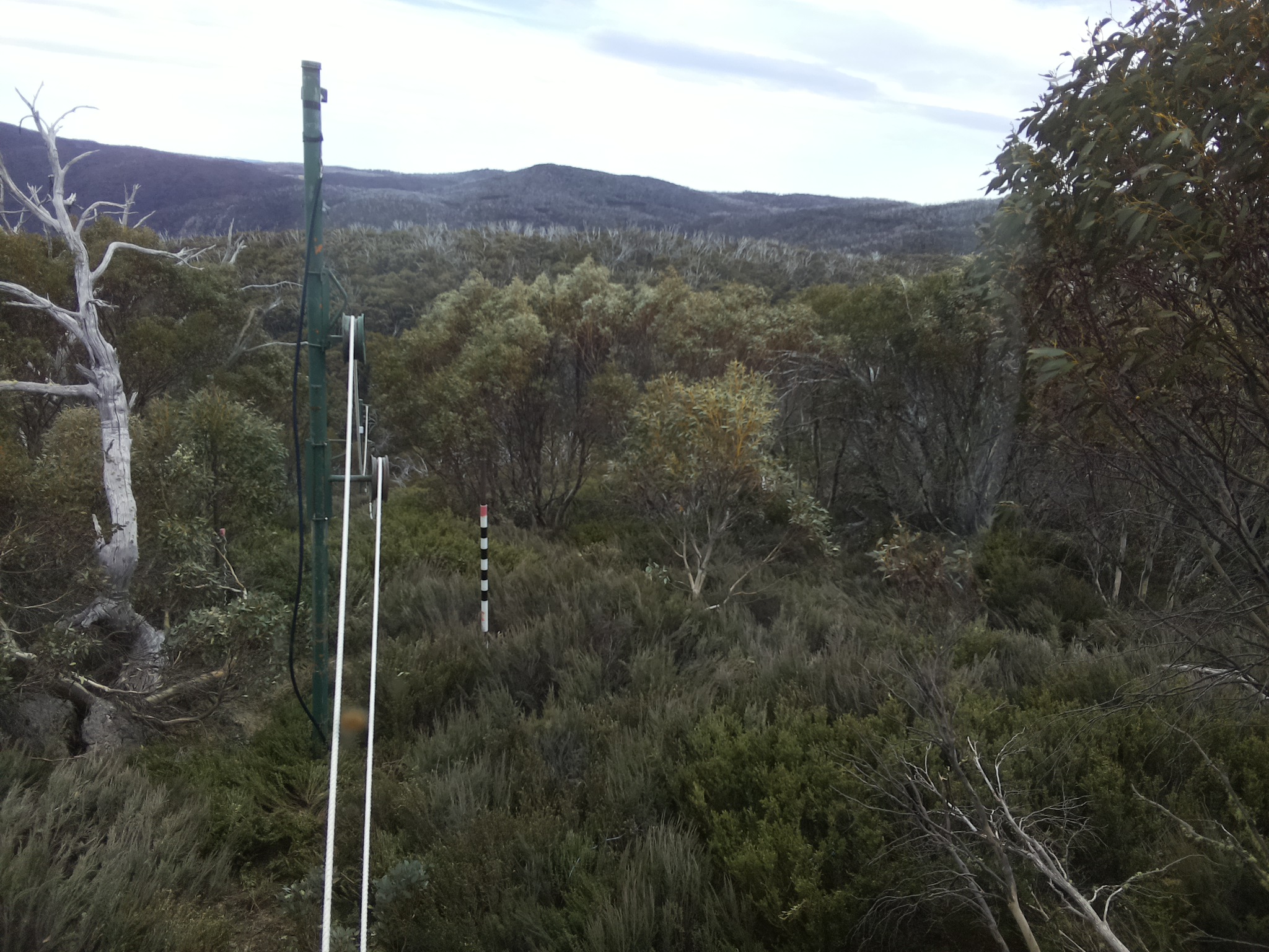 Bogong Web Cam 10:40am Sunday 19th of October 2025