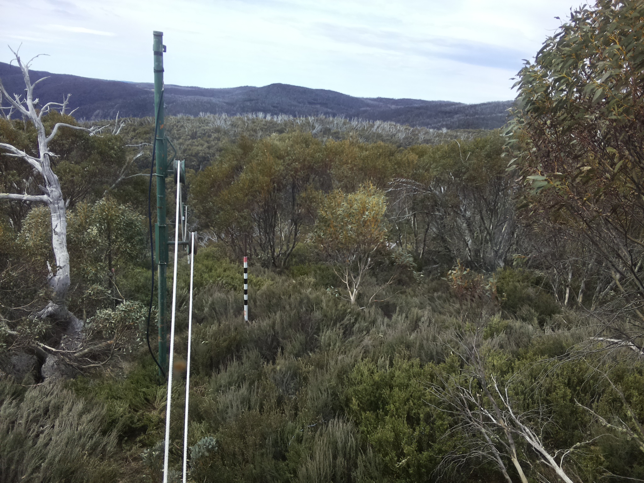 Bogong Web Cam 10:50am Sunday 19th of October 2025