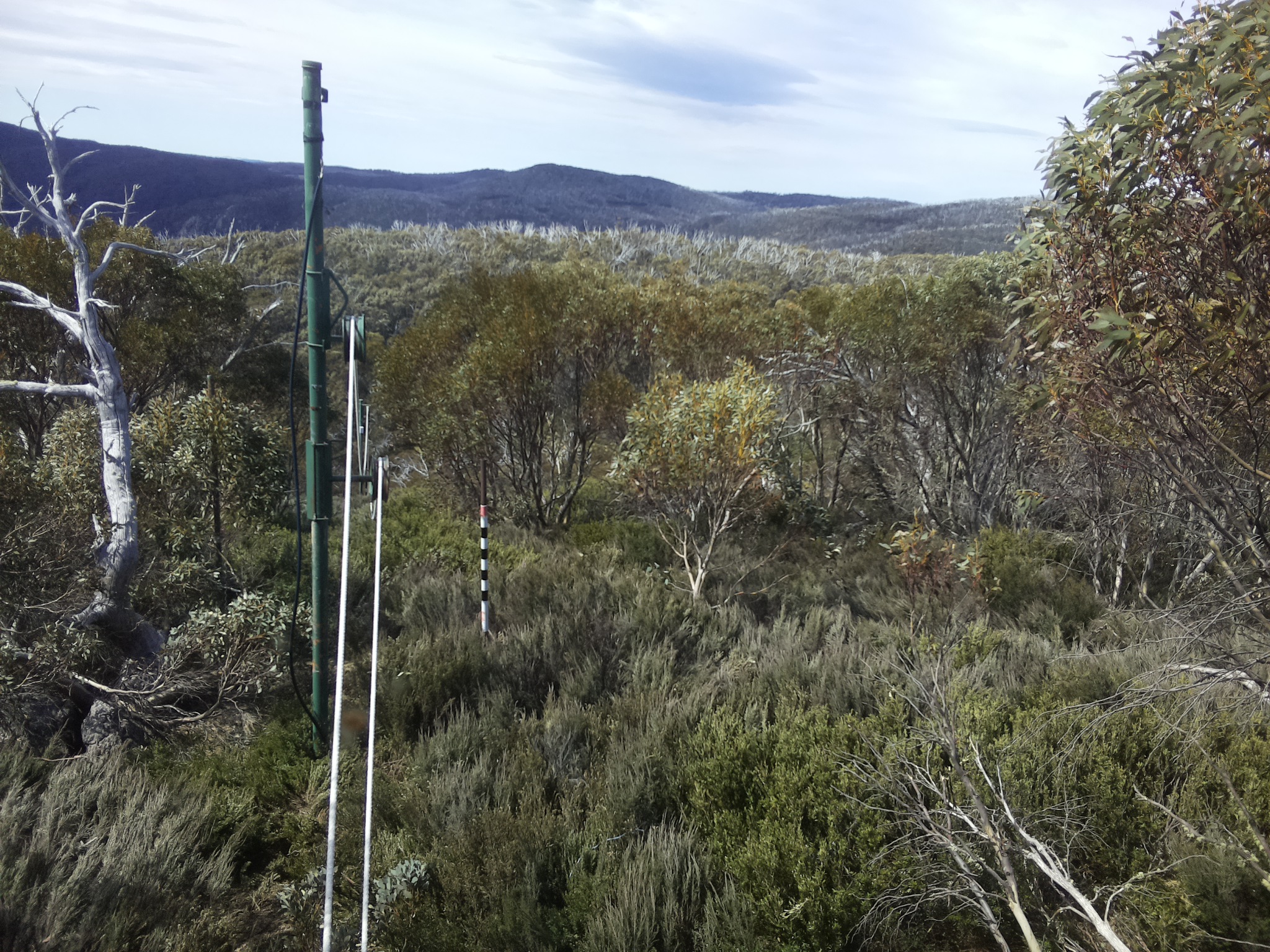 Bogong Web Cam 11:10am Sunday 19th of October 2025