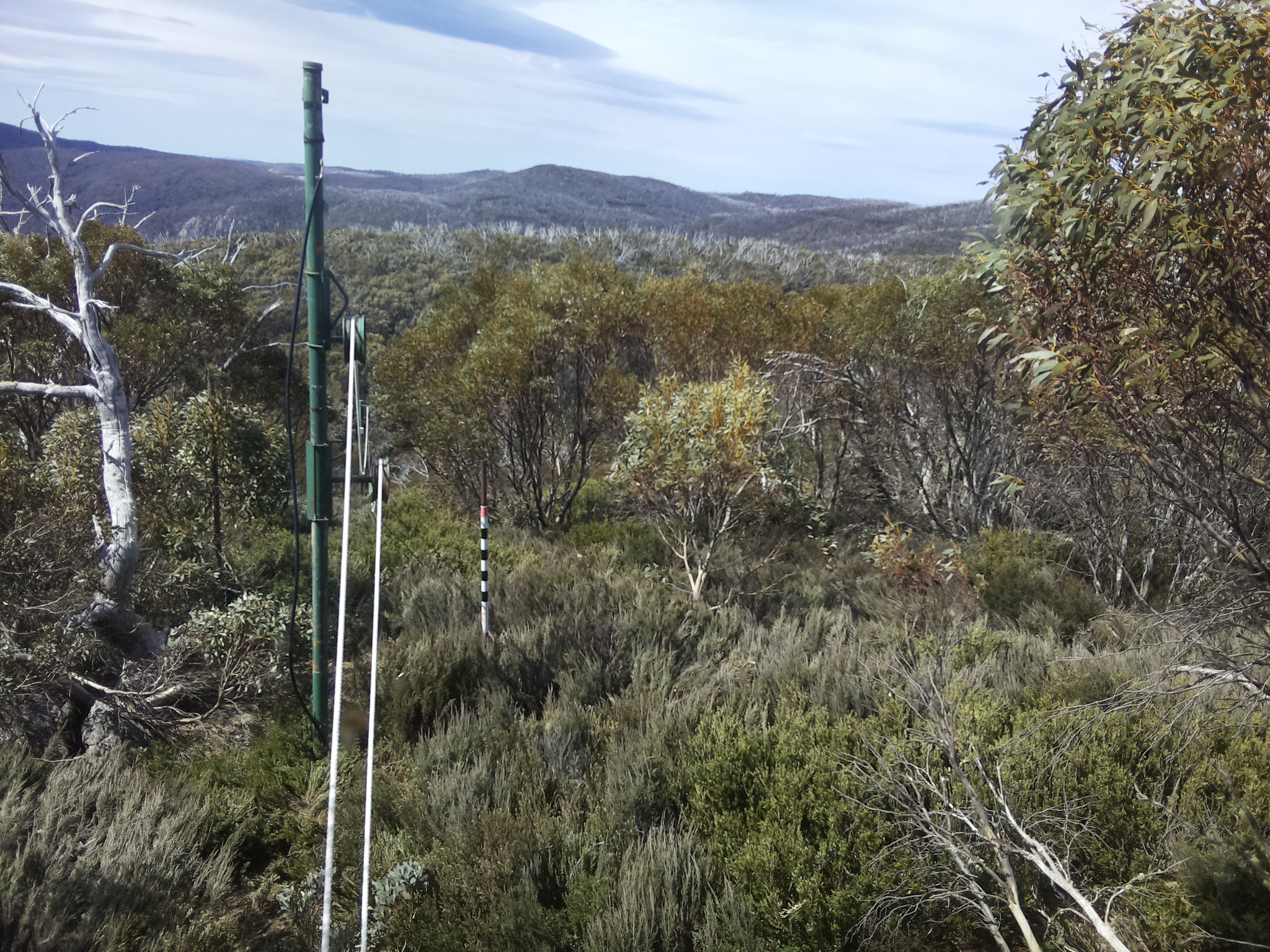 Bogong Web Cam 11:20am Sunday 19th of October 2025