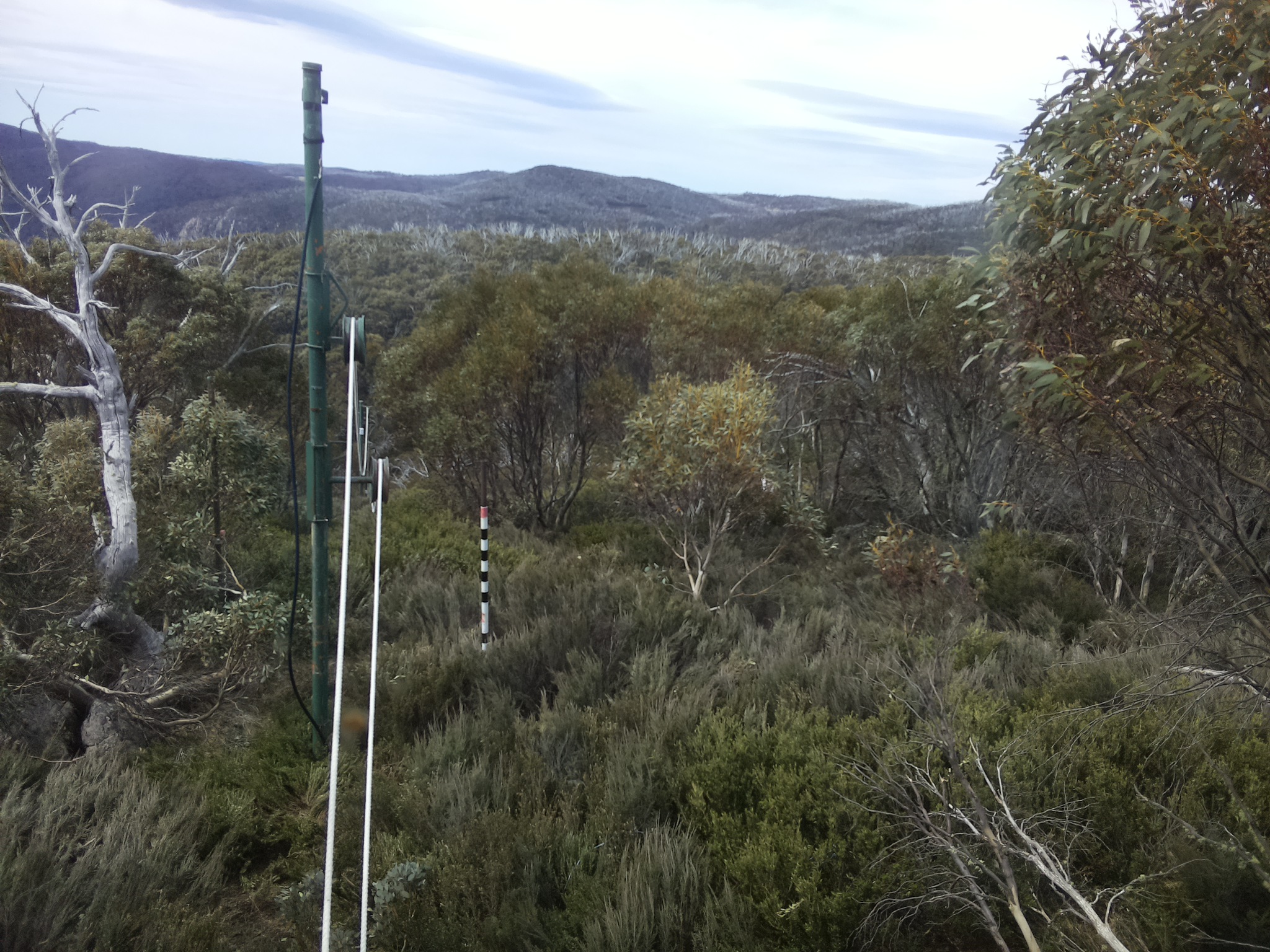 Bogong Web Cam 11:30am Sunday 19th of October 2025