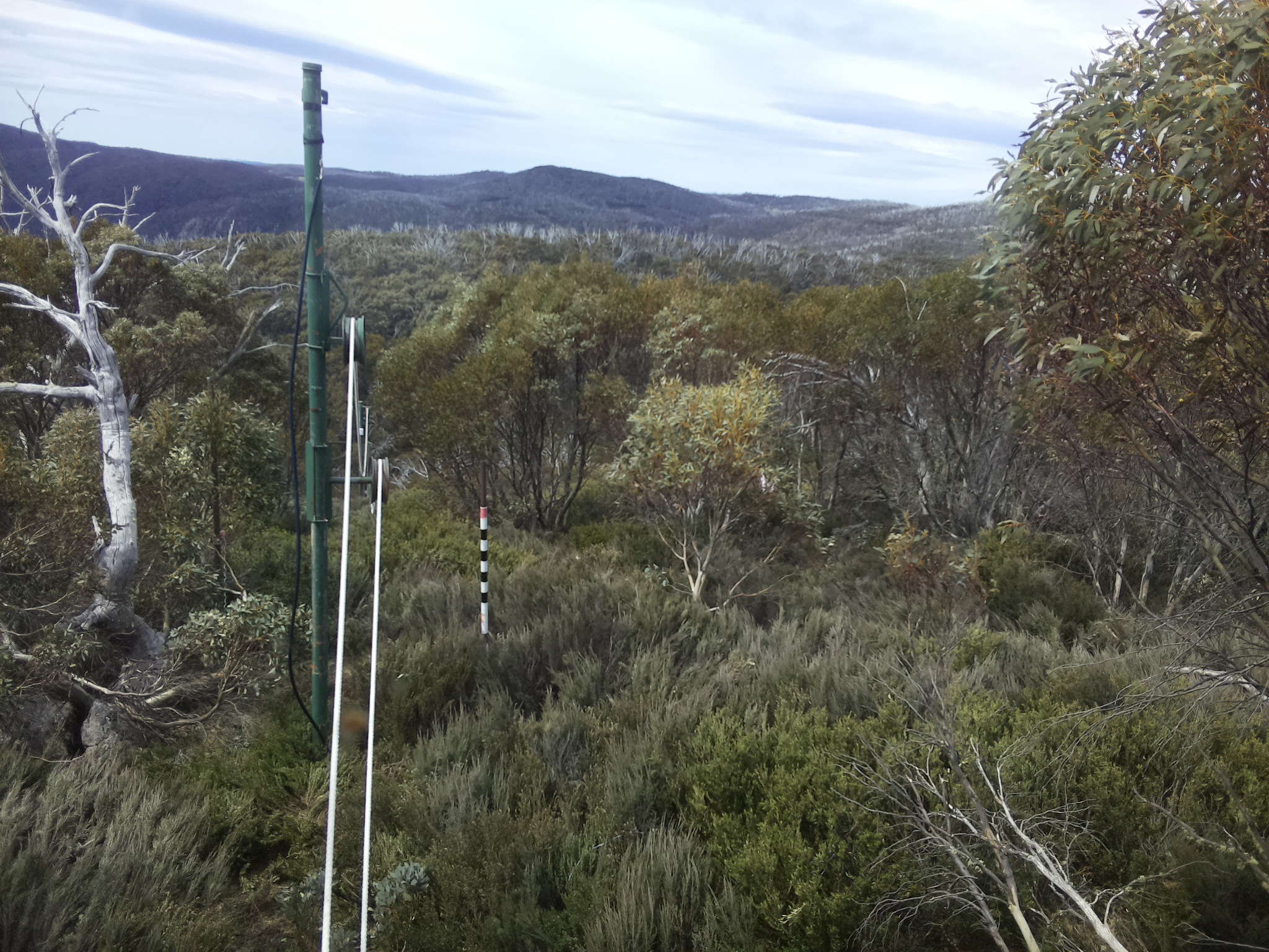 Bogong Web Cam 11:40am Sunday 19th of October 2025