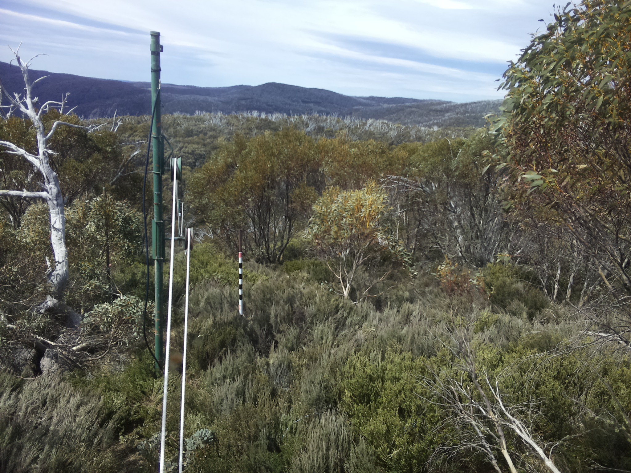 Bogong Web Cam 11:50am Sunday 19th of October 2025