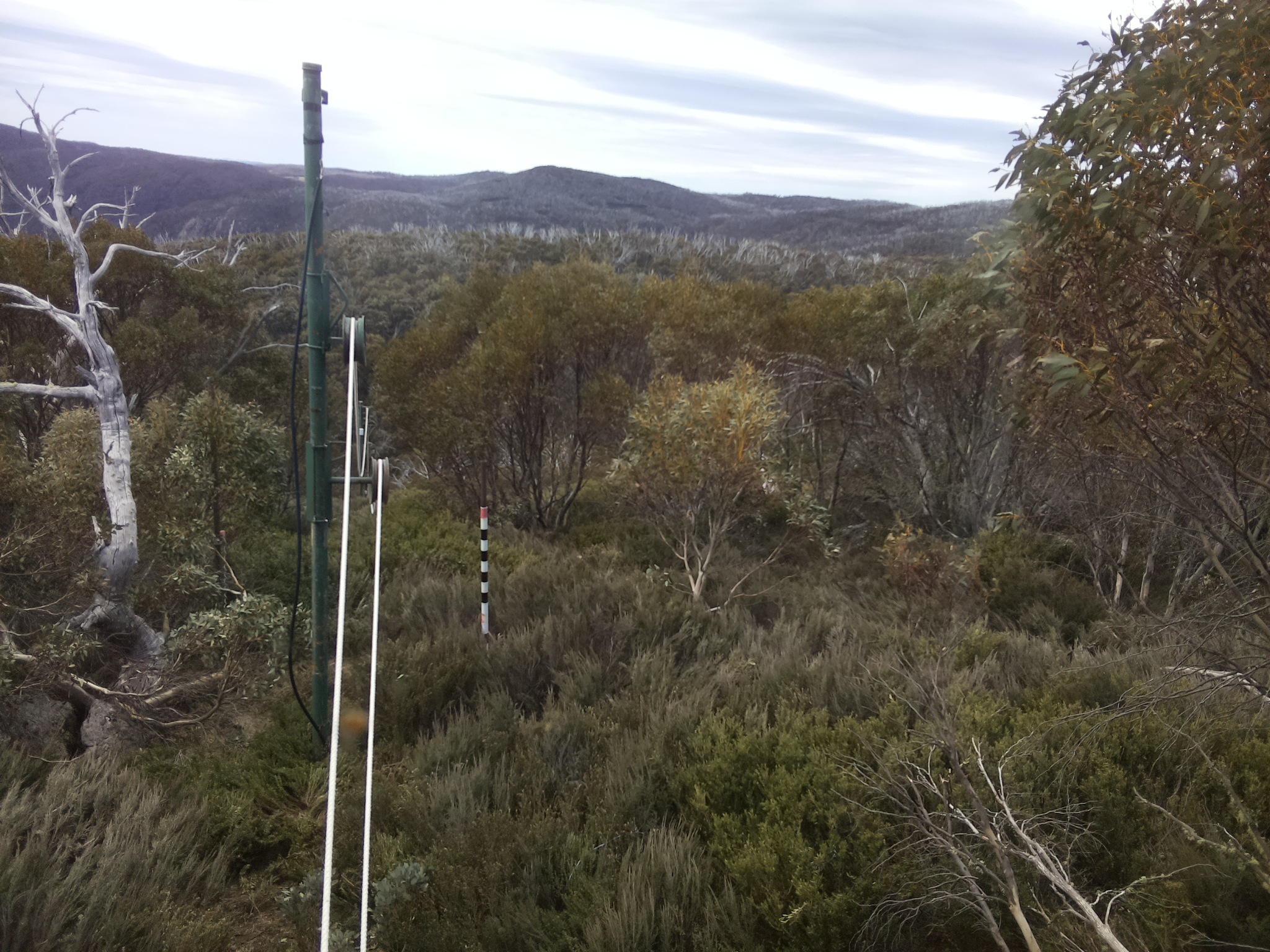 Bogong Web Cam 12:00pm Sunday 19th of October 2025