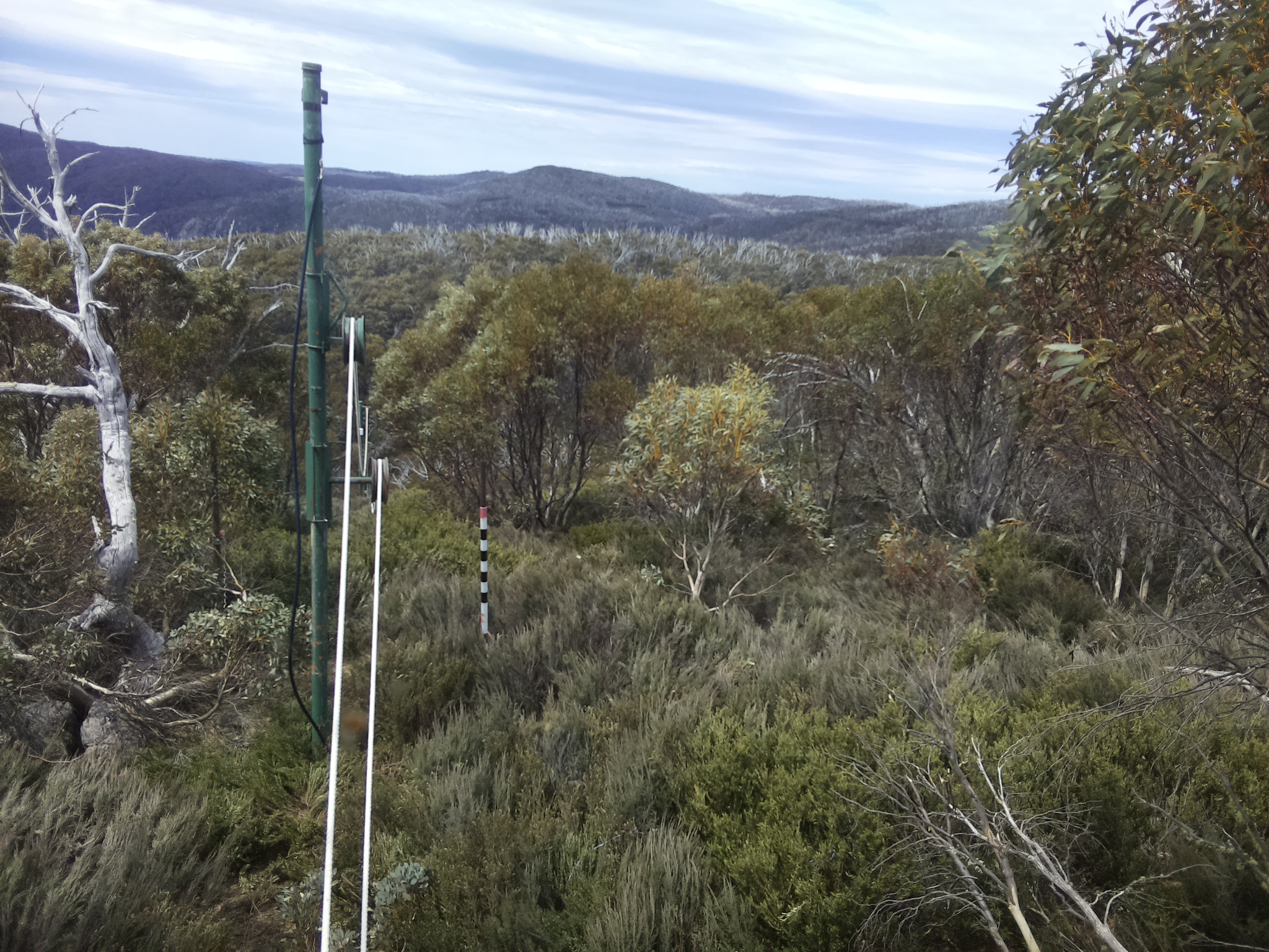 Bogong Web Cam 12:10pm Sunday 19th of October 2025