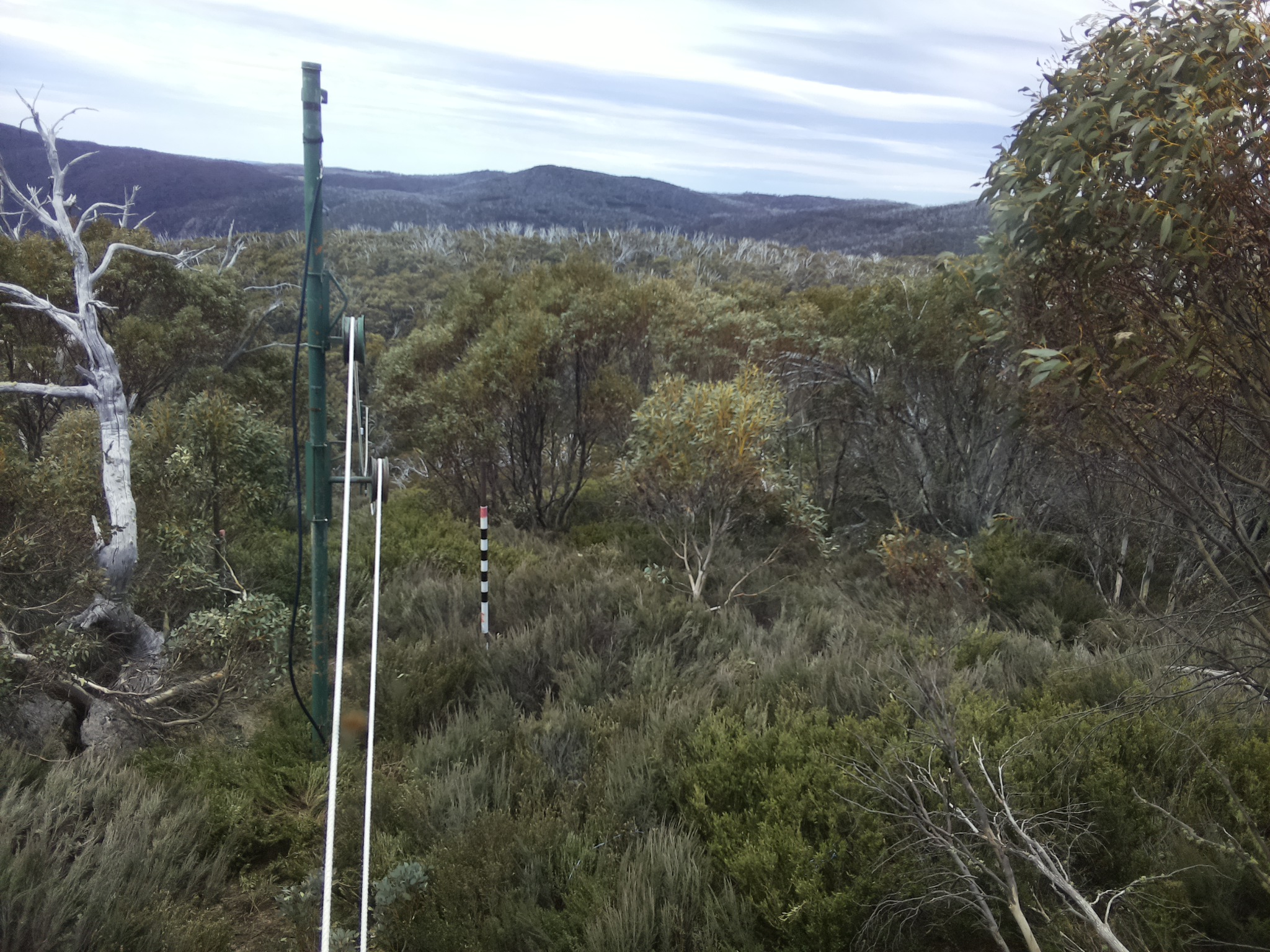 Bogong Web Cam 12:20pm Sunday 19th of October 2025