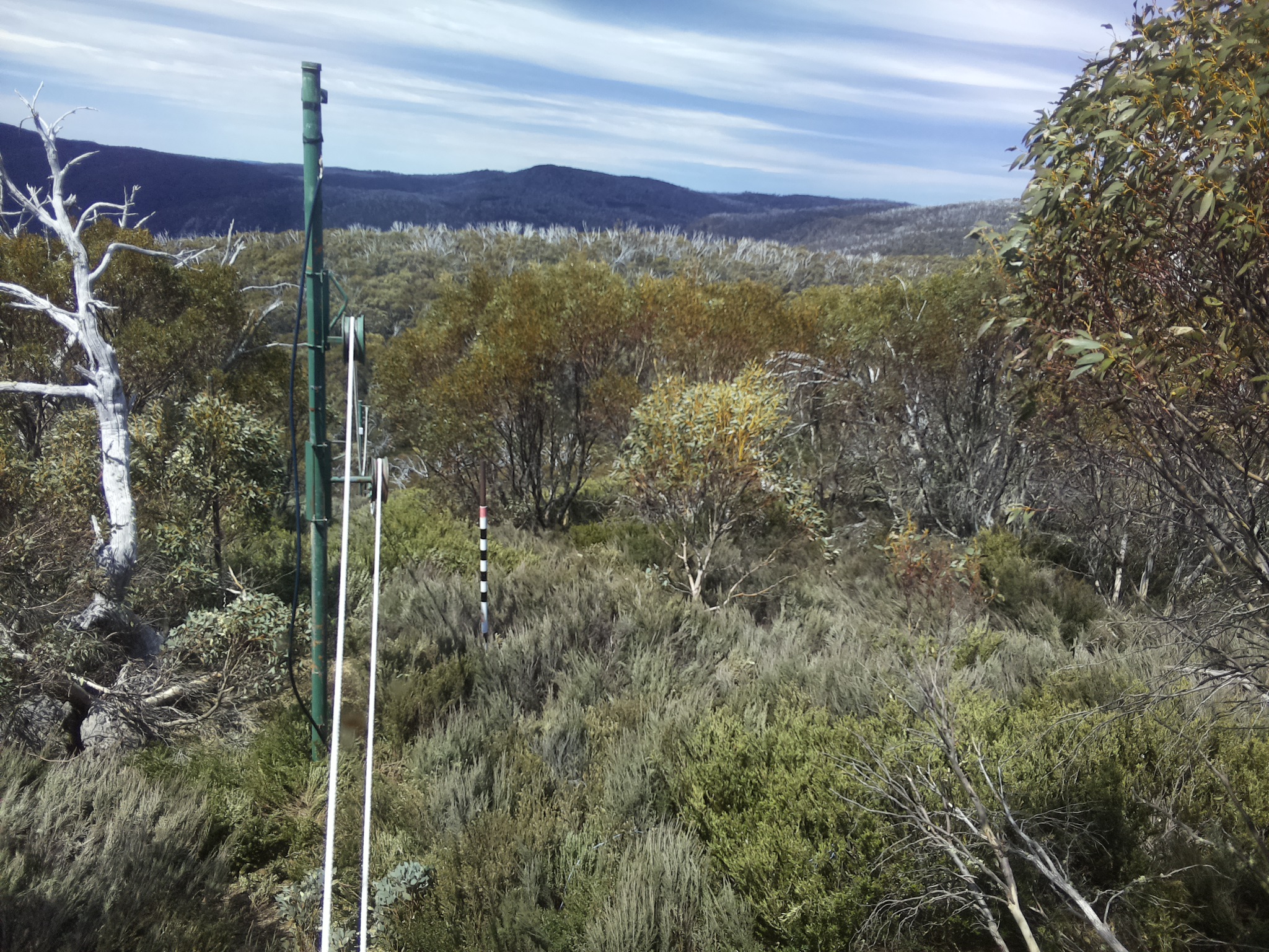 Bogong Web Cam 12:30pm Sunday 19th of October 2025