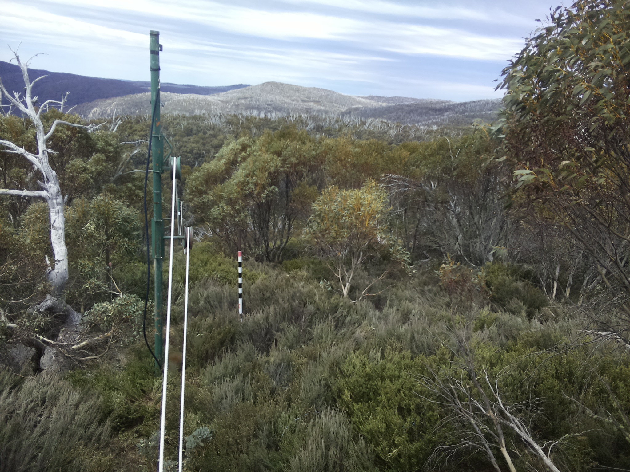 Bogong Web Cam 12:40pm Sunday 19th of October 2025