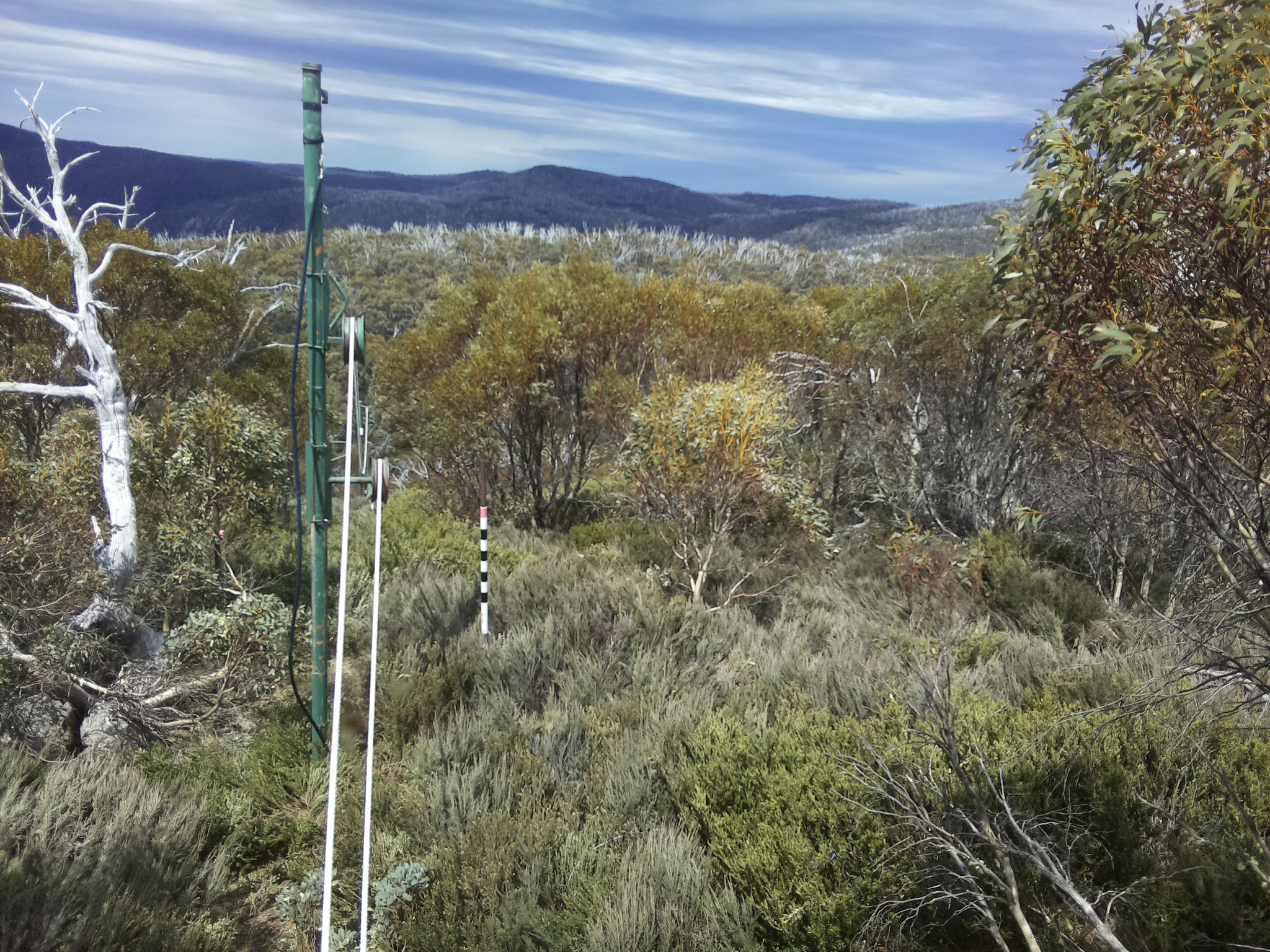 Bogong Web Cam 12:50pm Sunday 19th of October 2025