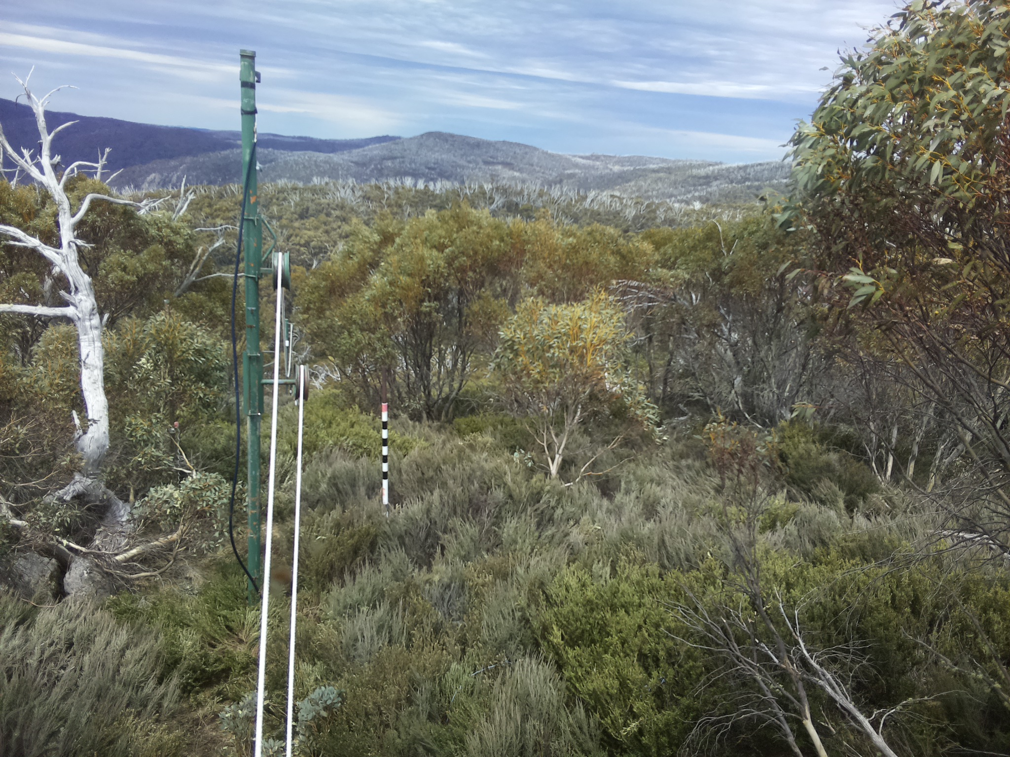 Bogong Web Cam 1:00pm Sunday 19th of October 2025