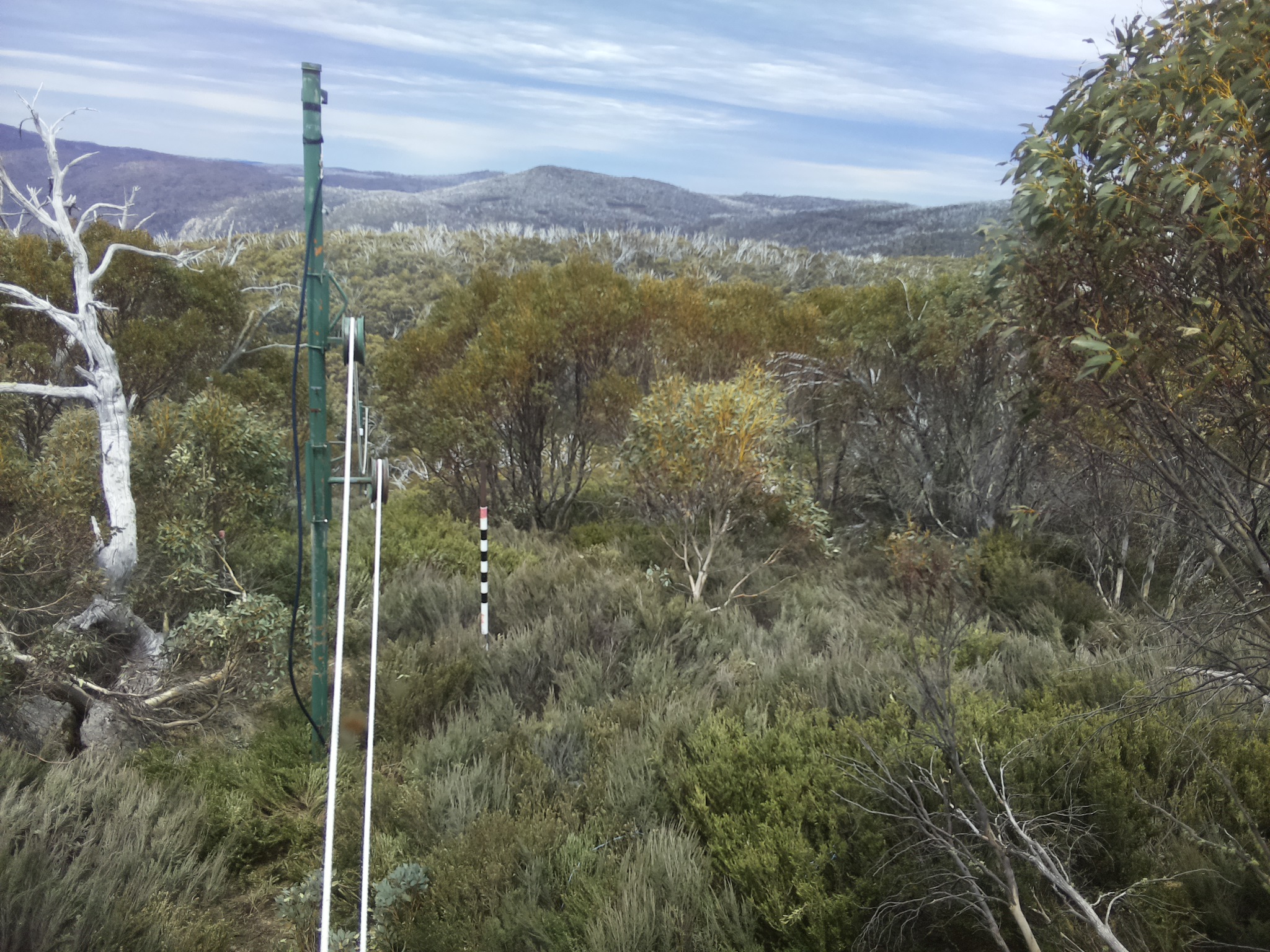 Bogong Web Cam 1:10pm Sunday 19th of October 2025