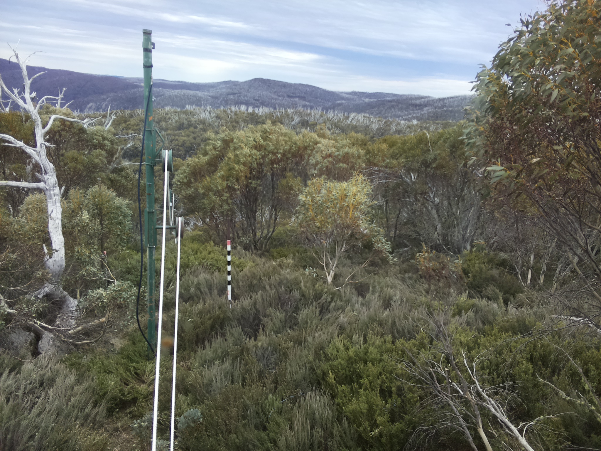 Bogong Web Cam 1:20pm Sunday 19th of October 2025