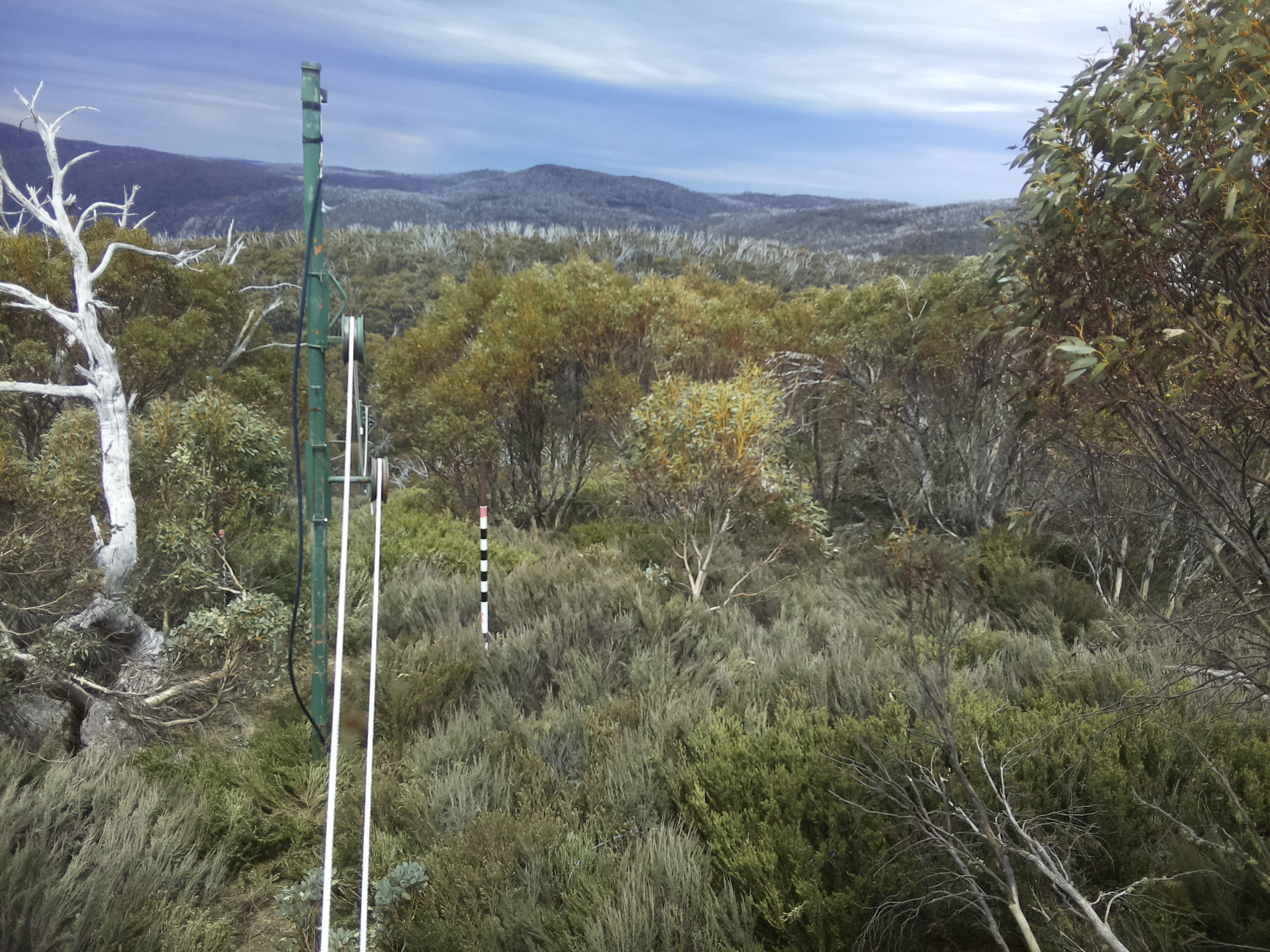 Bogong Web Cam 1:40pm Sunday 19th of October 2025