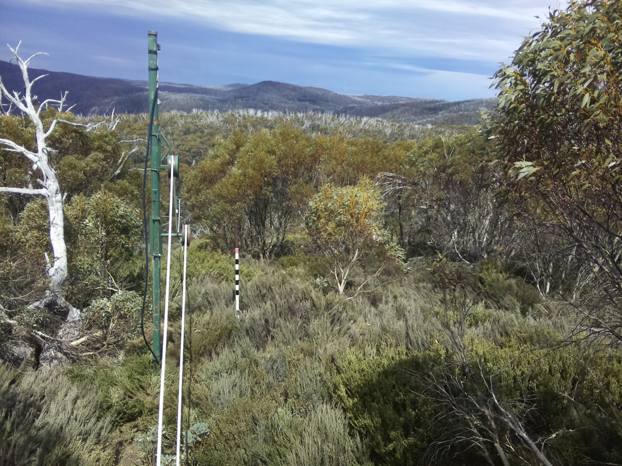 Bogong Web Cam 1:50pm Sunday 19th of October 2025