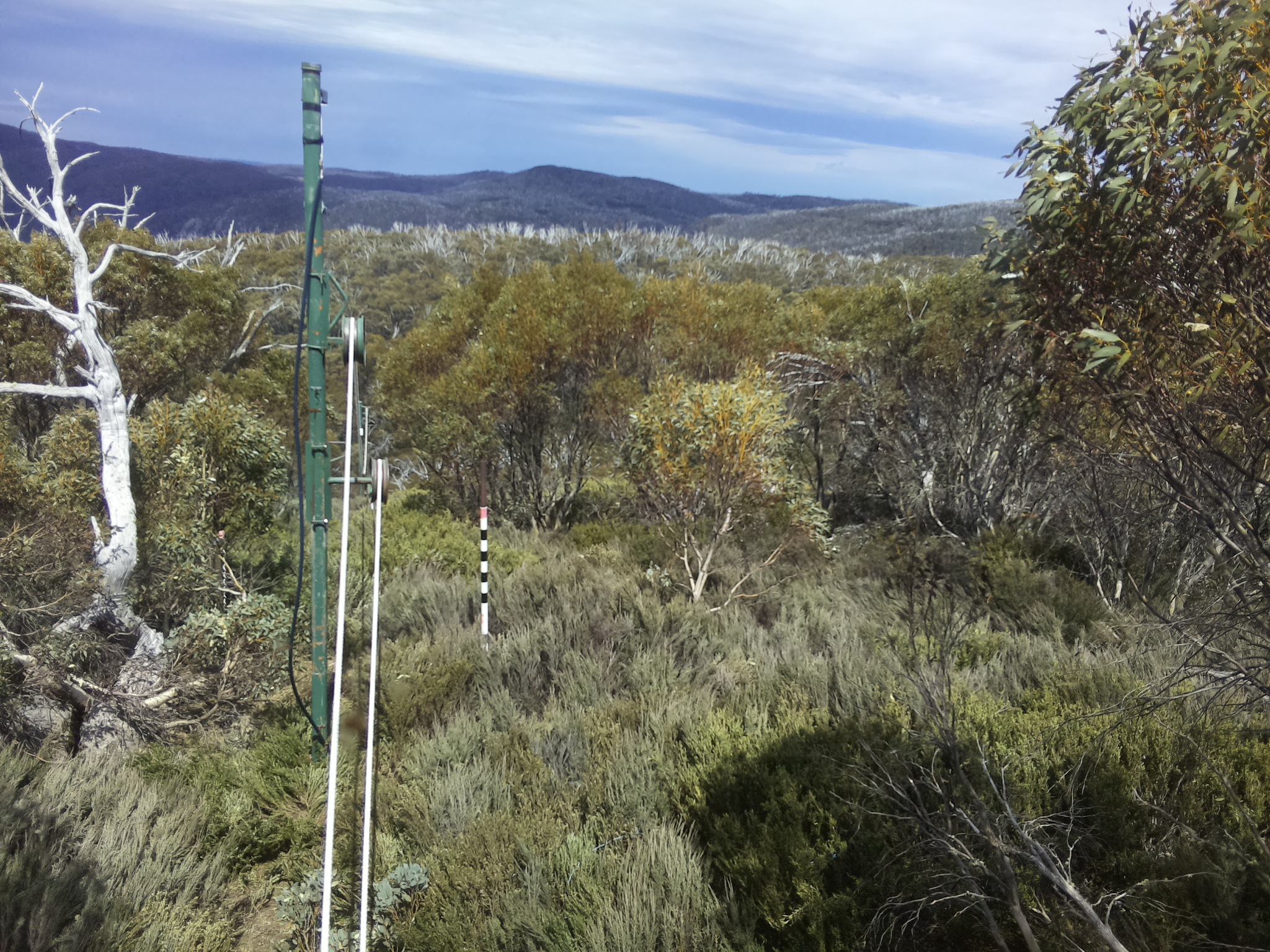 Bogong Web Cam 2:00pm Sunday 19th of October 2025