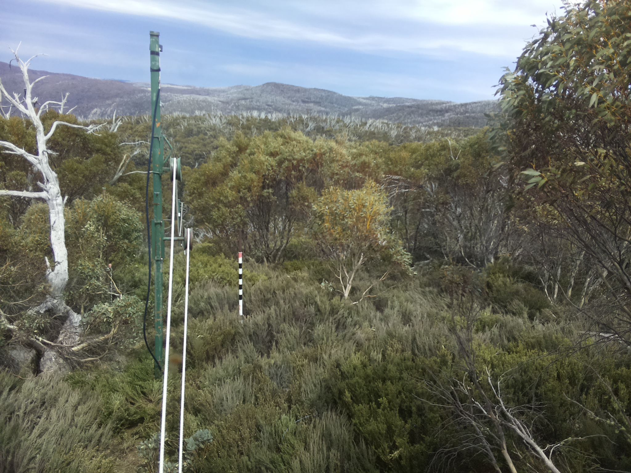 Bogong Web Cam 2:20pm Sunday 19th of October 2025