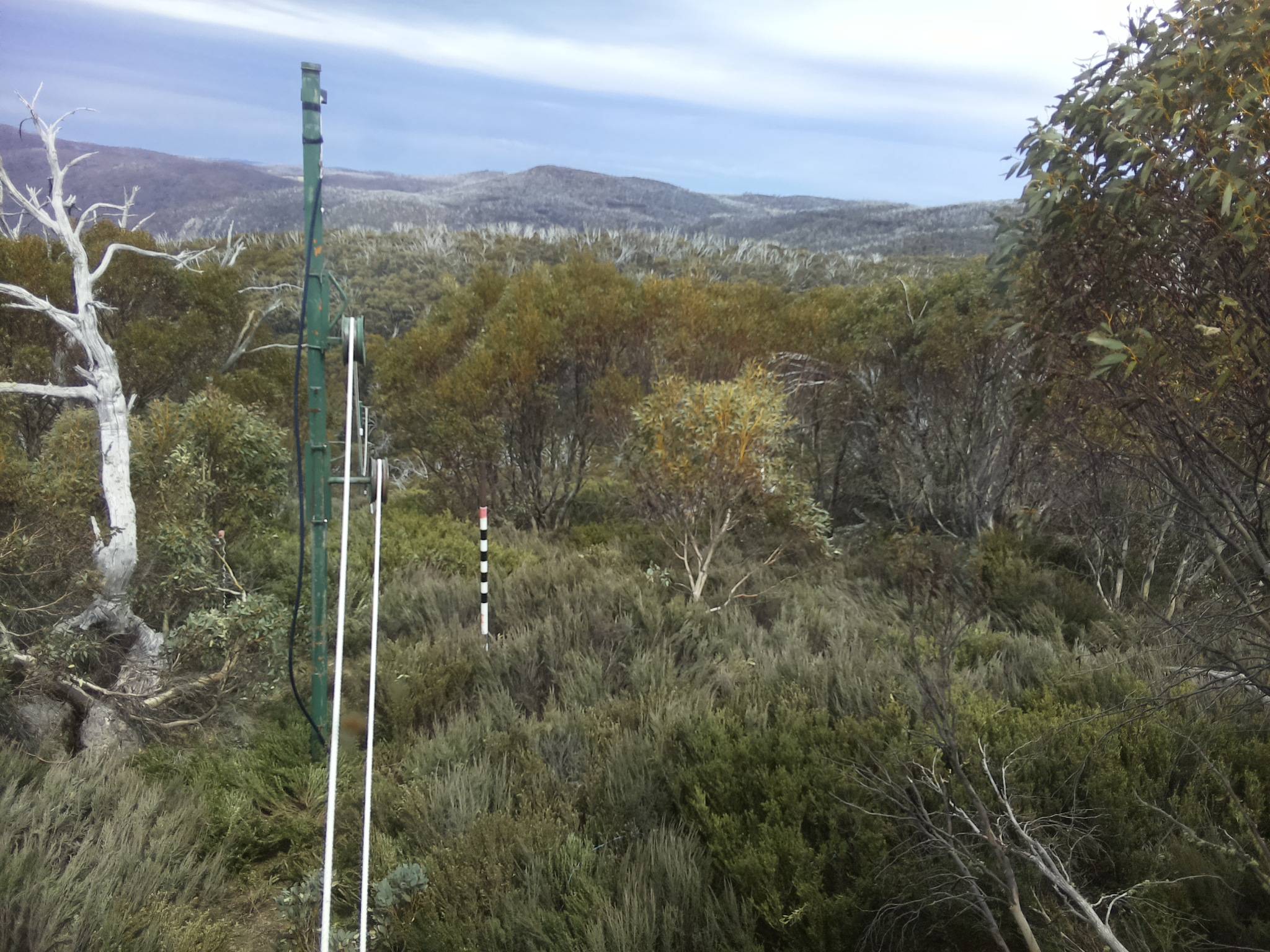 Bogong Web Cam 2:30pm Sunday 19th of October 2025