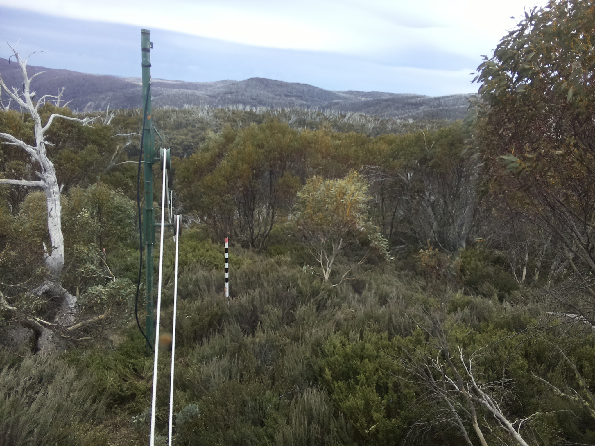 Bogong Web Cam 2:40pm Sunday 19th of October 2025