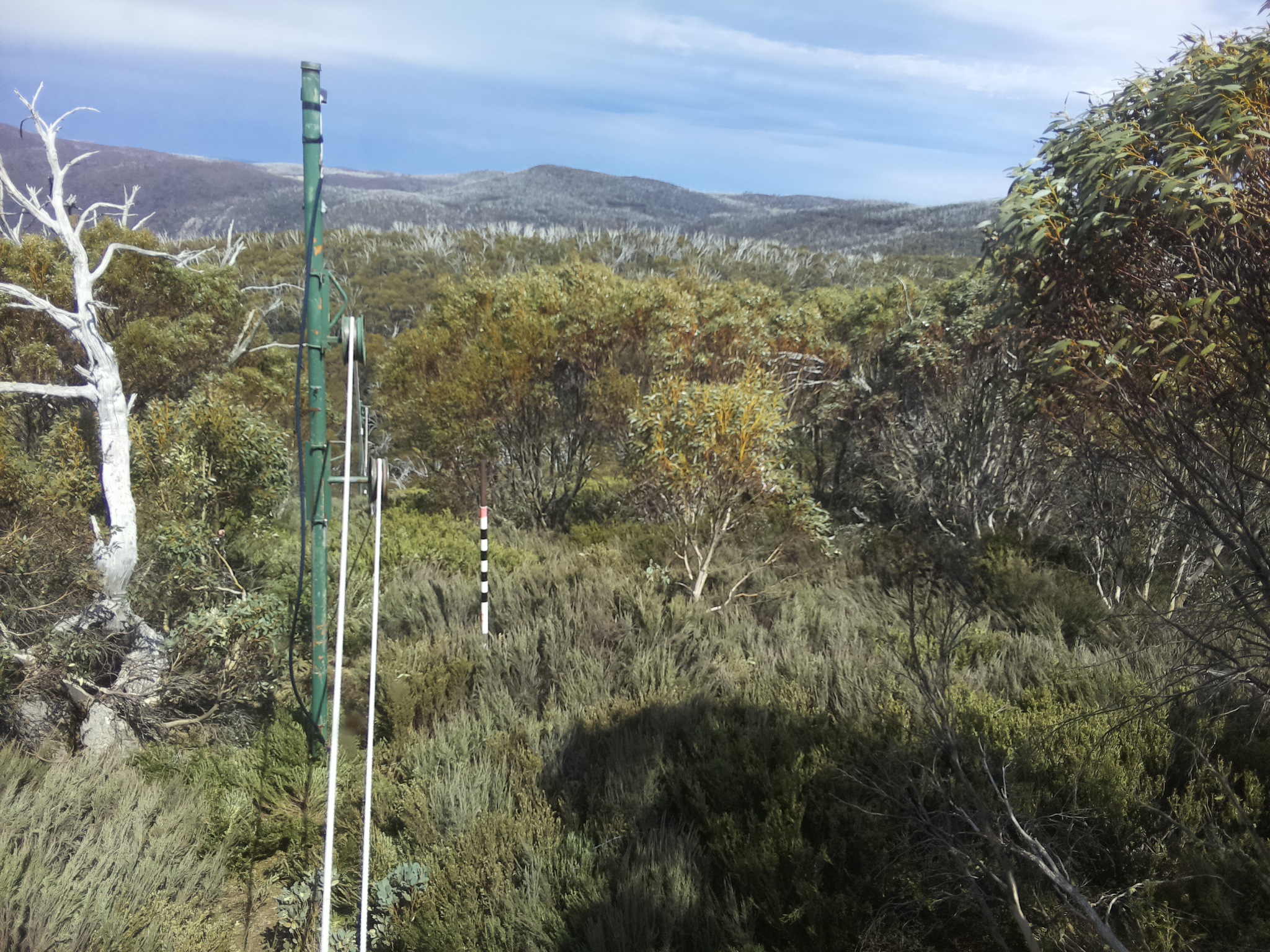 Bogong Web Cam 2:50pm Sunday 19th of October 2025